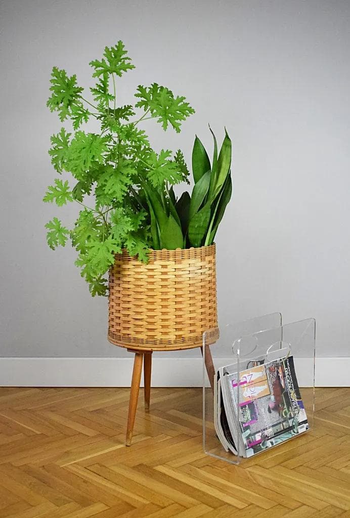 Magazine Rack, transparent plexiglass, Poland, 1970s - 86105