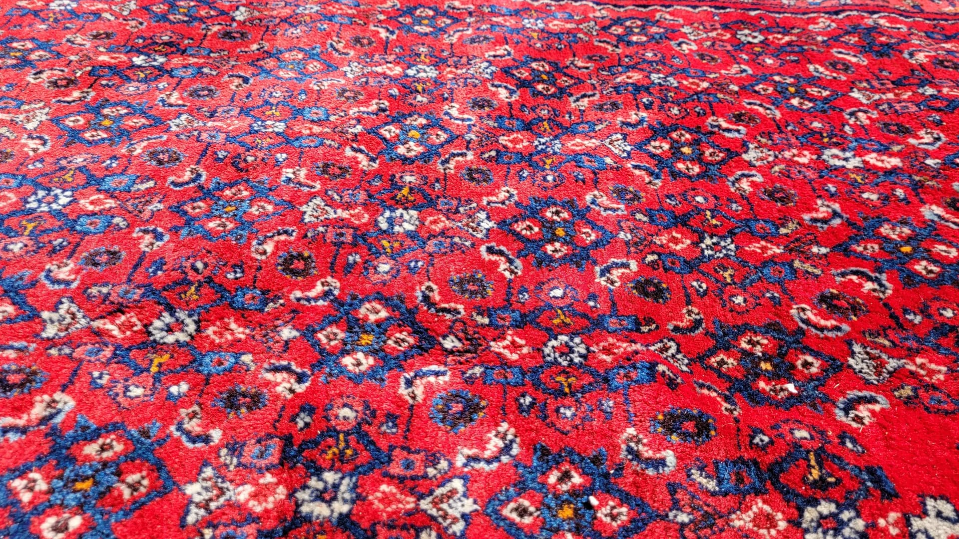 Rug Bidjar, 265x360 cm, red, wool, Iran, early 20th c. - 88453