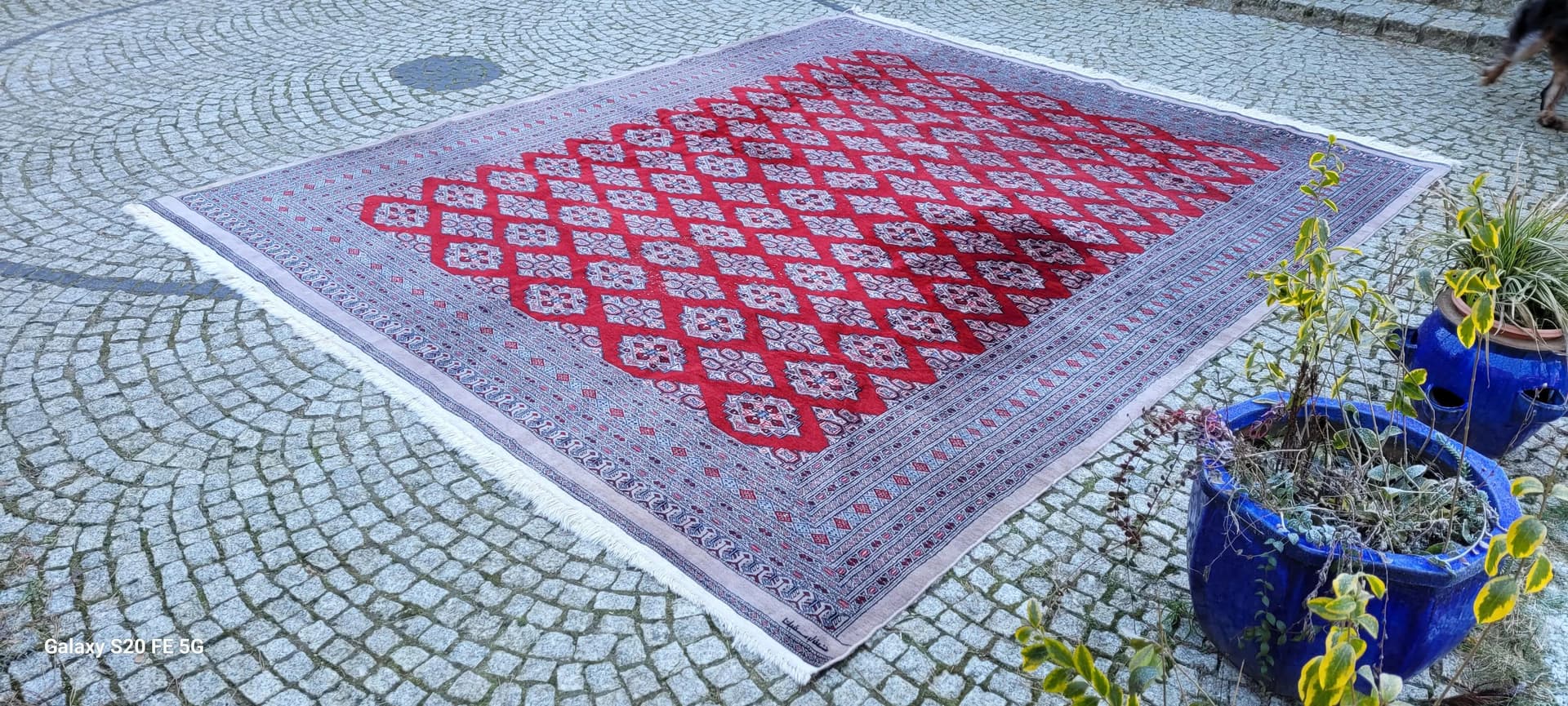 Dywan Buchara 285x350cm, czerwony, wełna, Pakistan - 88199