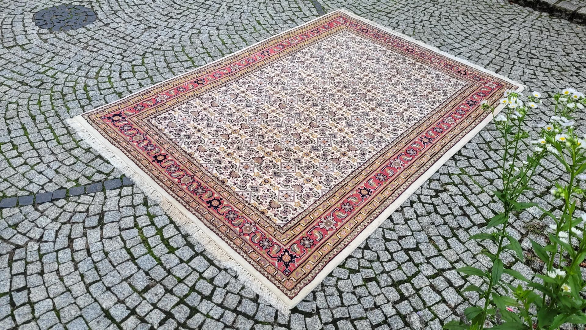 Rug Indo Bidjar 170x250cm, beige, wool, India - 88022