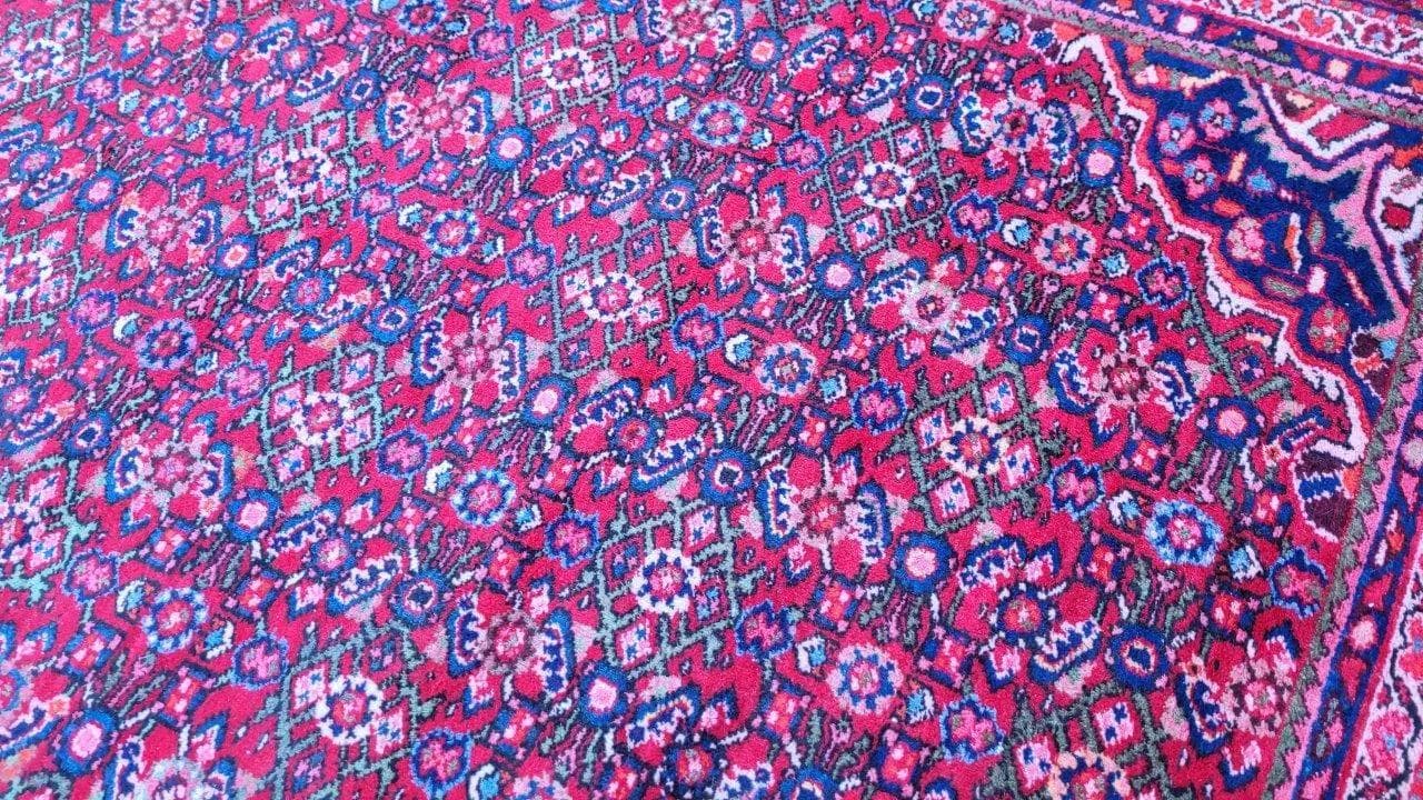 Dywan Hamadan 270x380 cm, czerwony, wełna, Iran - 88010