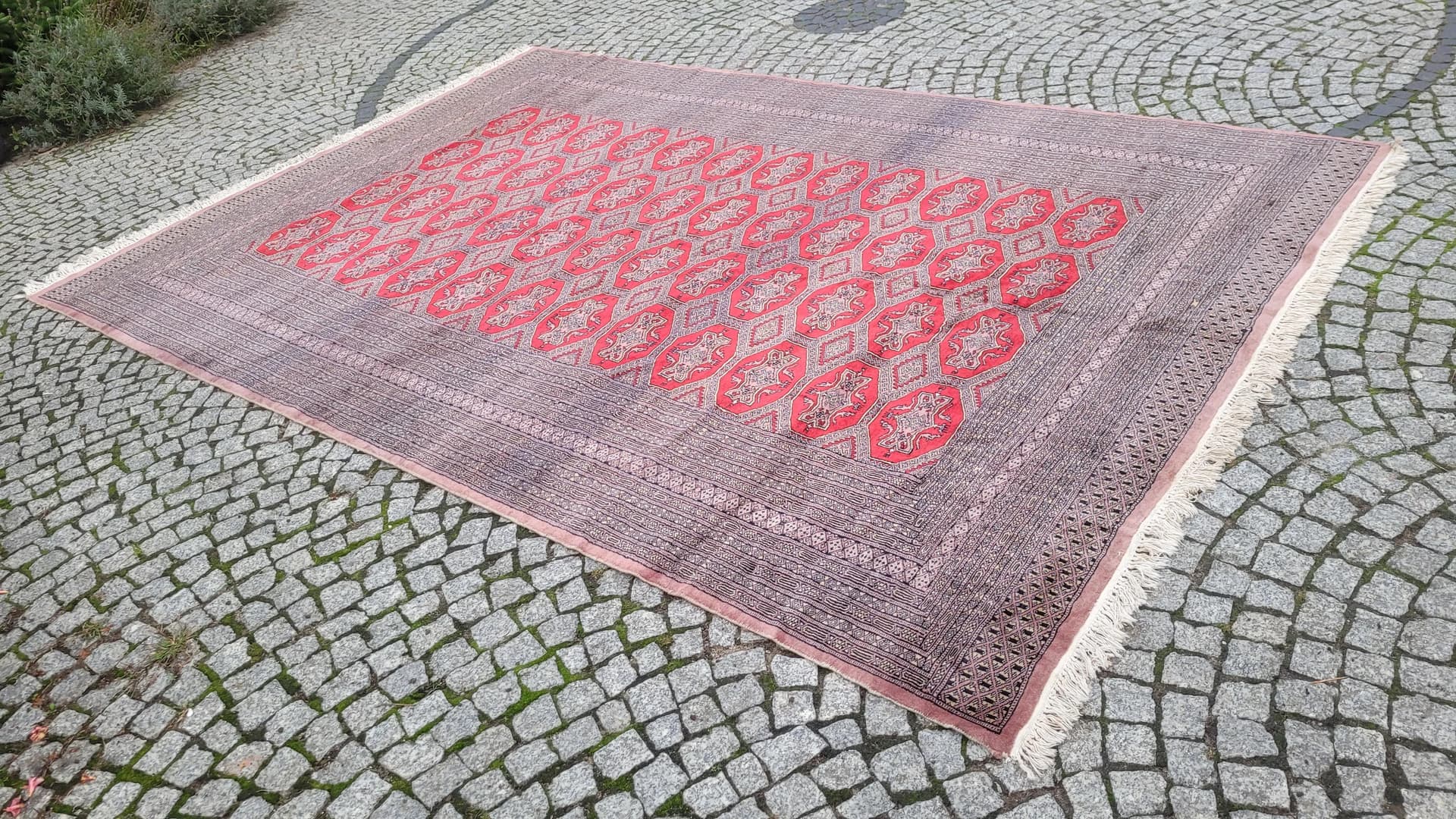 Dywan Buchara 220x340 cm, czerwony, wełna, Pakistan - 87872