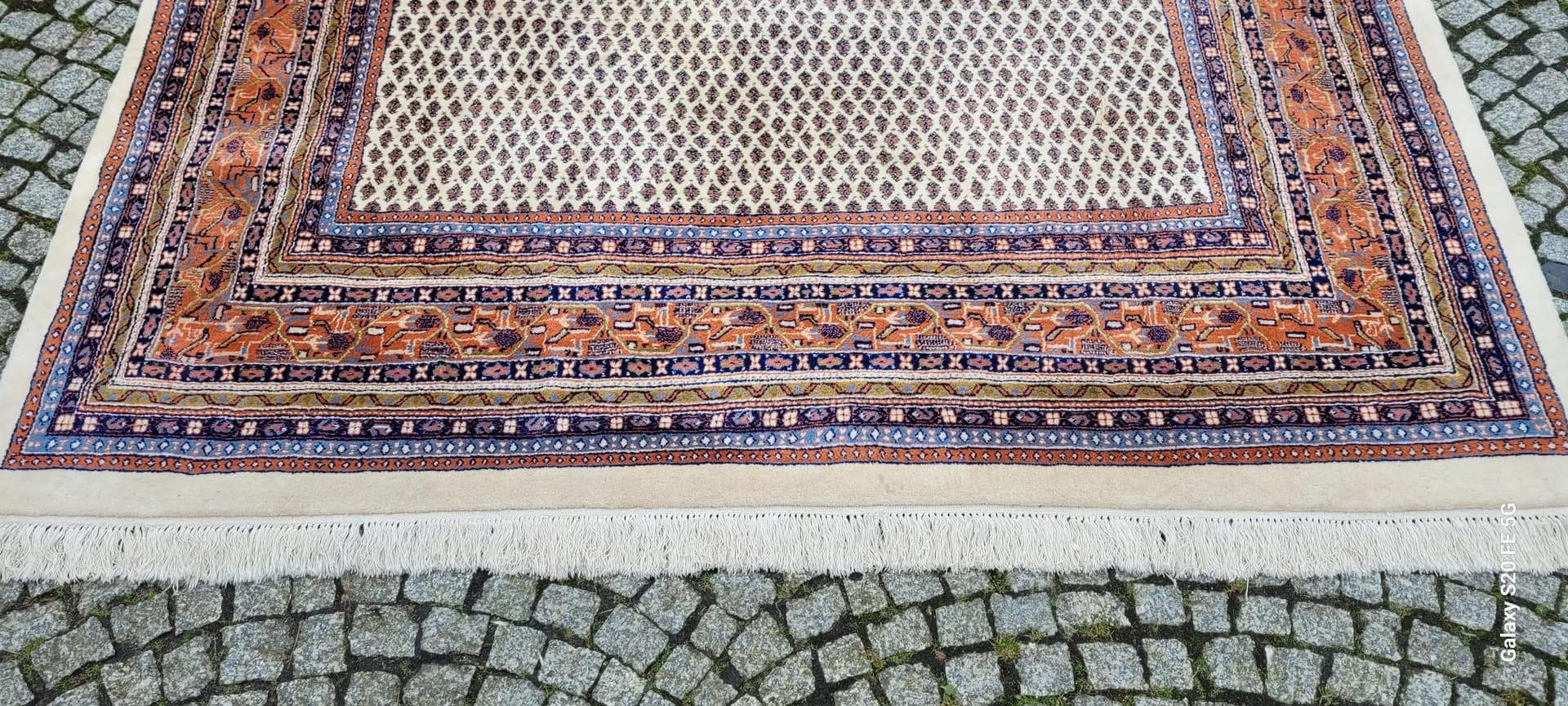 Dywan Indo Saroug Mir, 230x340 cm, beżowy, wełna, Indie - 87611