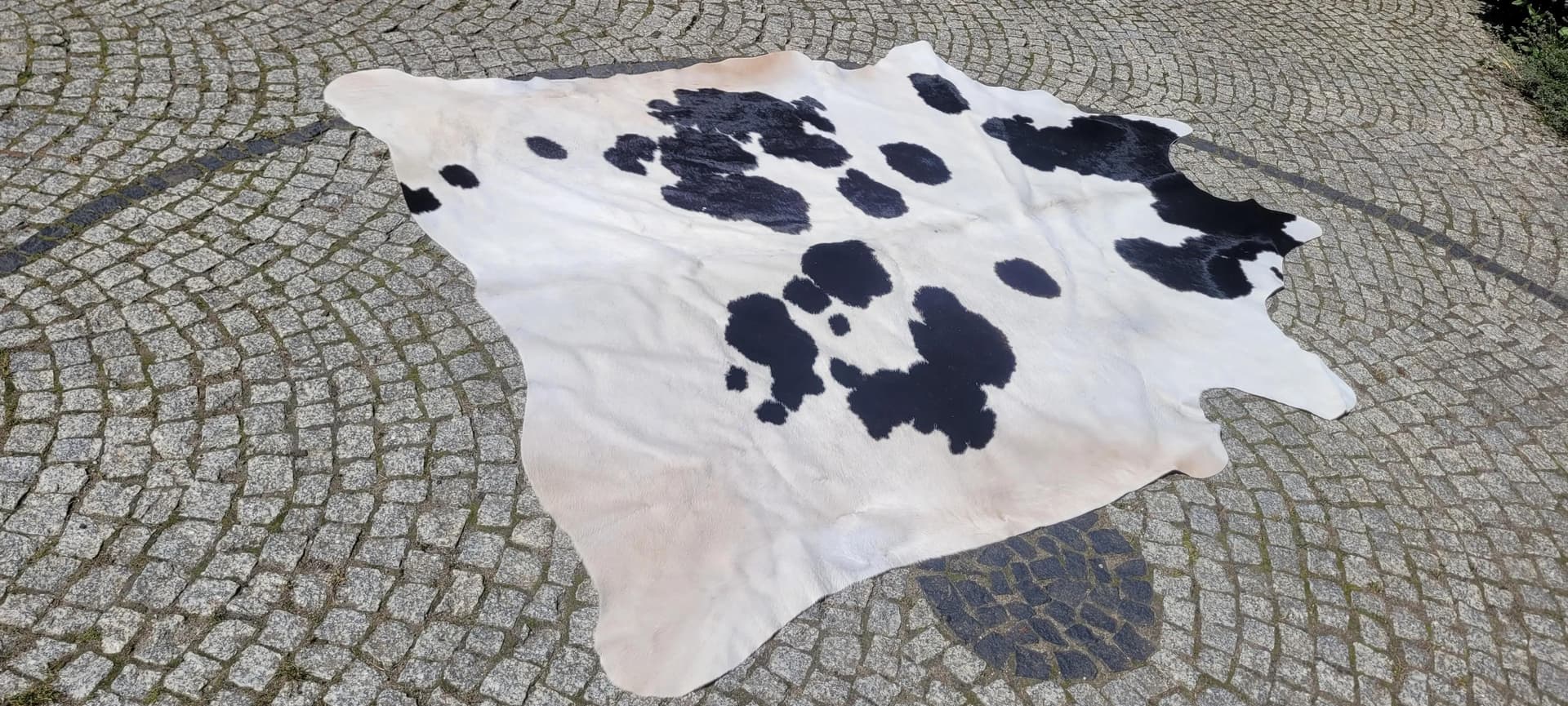 Dywan cielęcy, kremowy z czarnym, skóra cielęca, Polska - 87467