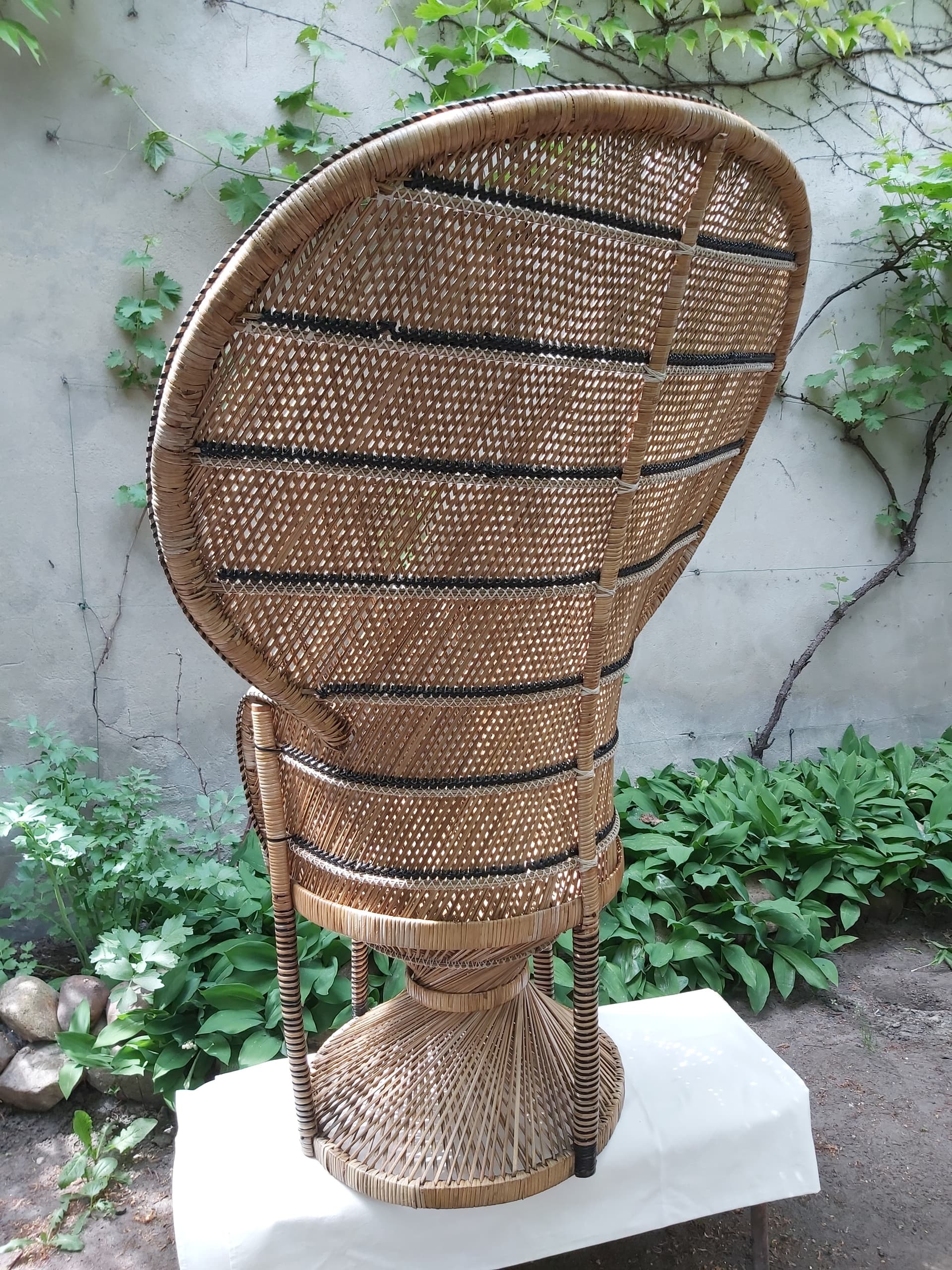 Fotel Emmanuelle, beżowy, rattan, Niemcy, lata 70. - 90085