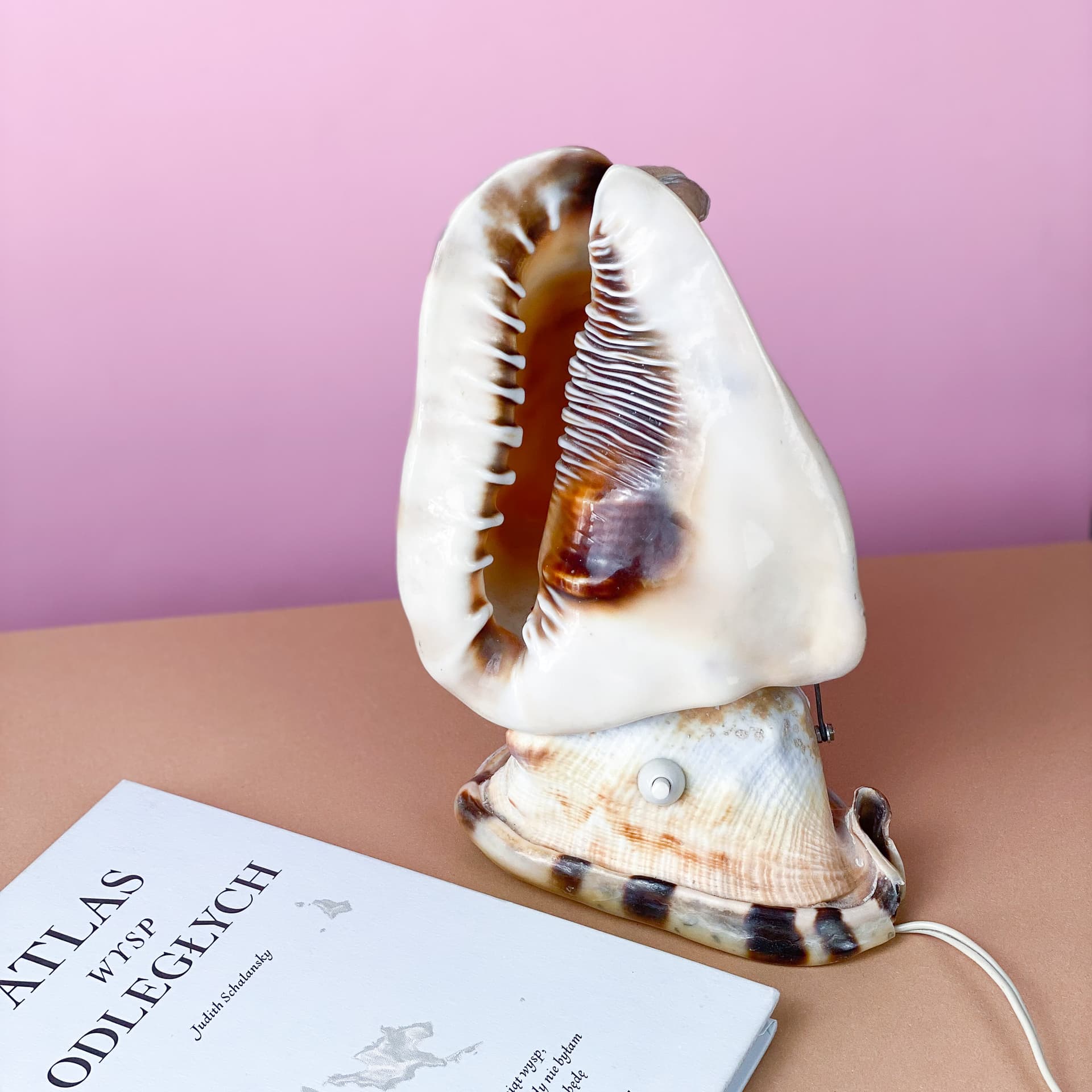 Lampka stołowa Queen Conch, kość słoniowa, muszla, lata 60. - 98915