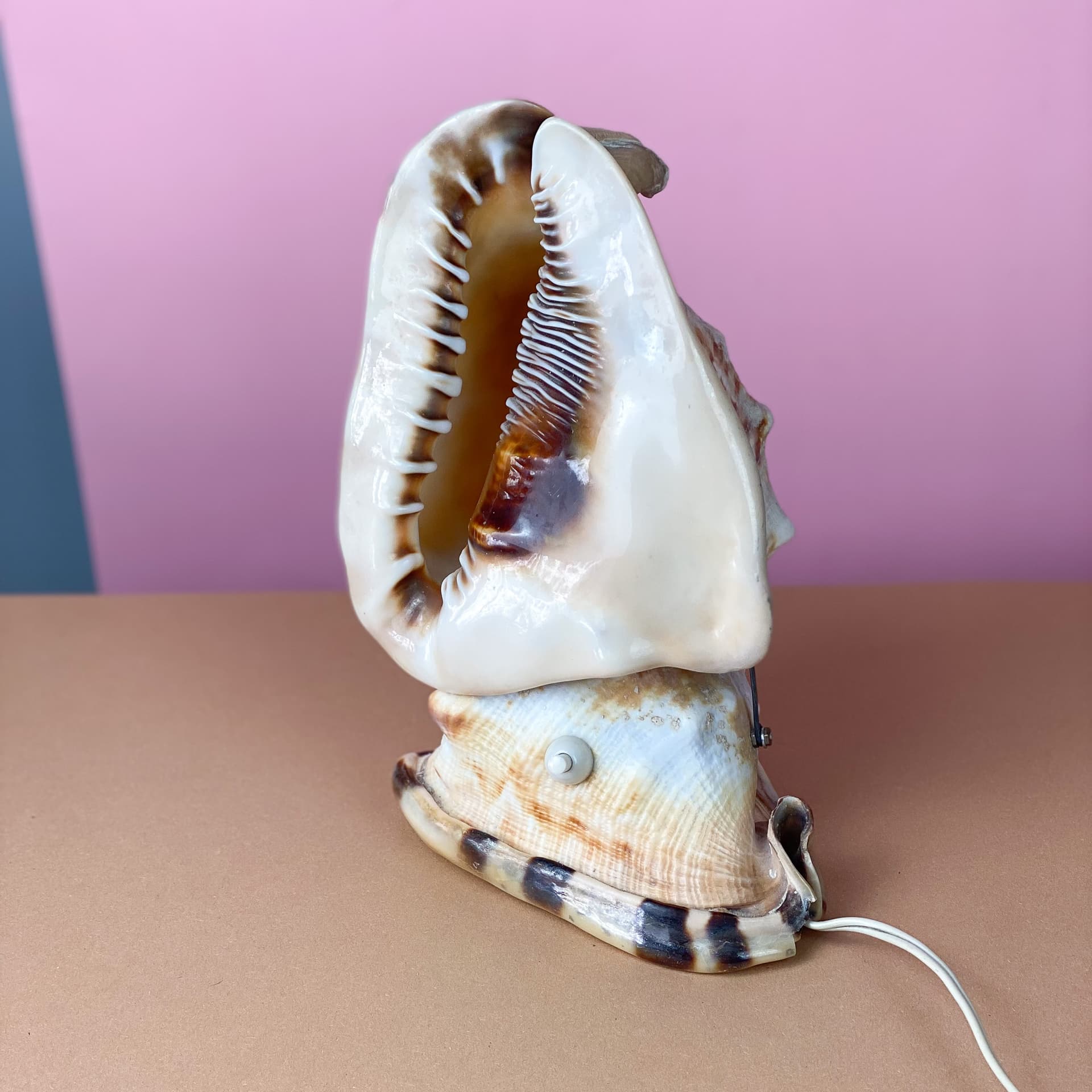 Lampka stołowa Queen Conch, kość słoniowa, muszla, lata 60. - 98906