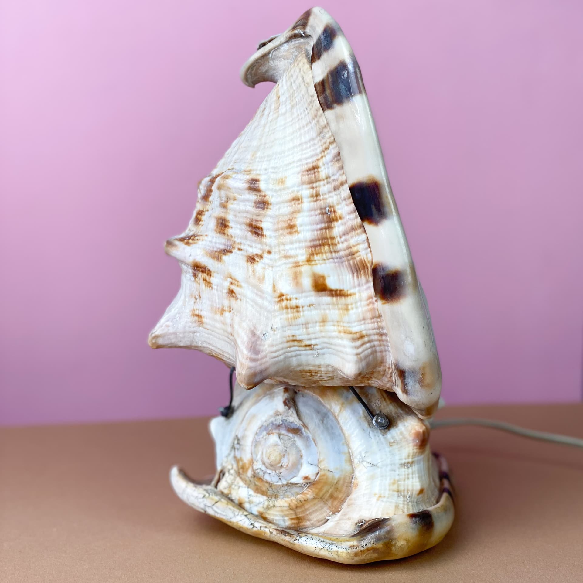 Lampka stołowa Queen Conch, kość słoniowa, muszla, lata 60. - 98910