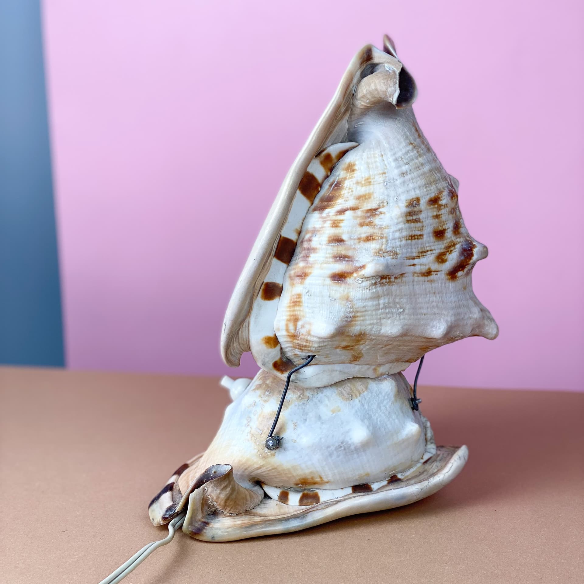 Lampka stołowa Queen Conch, kość słoniowa, muszla, lata 60. - 98907