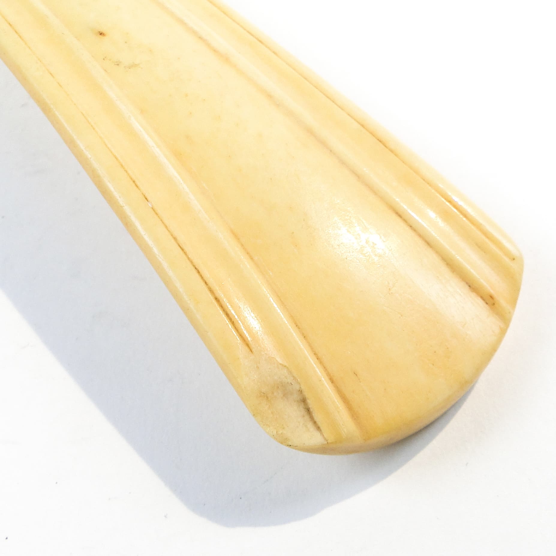 Łyżka do butów Art Nouveau, kość bawola, Austria, początek XX w. - 102279