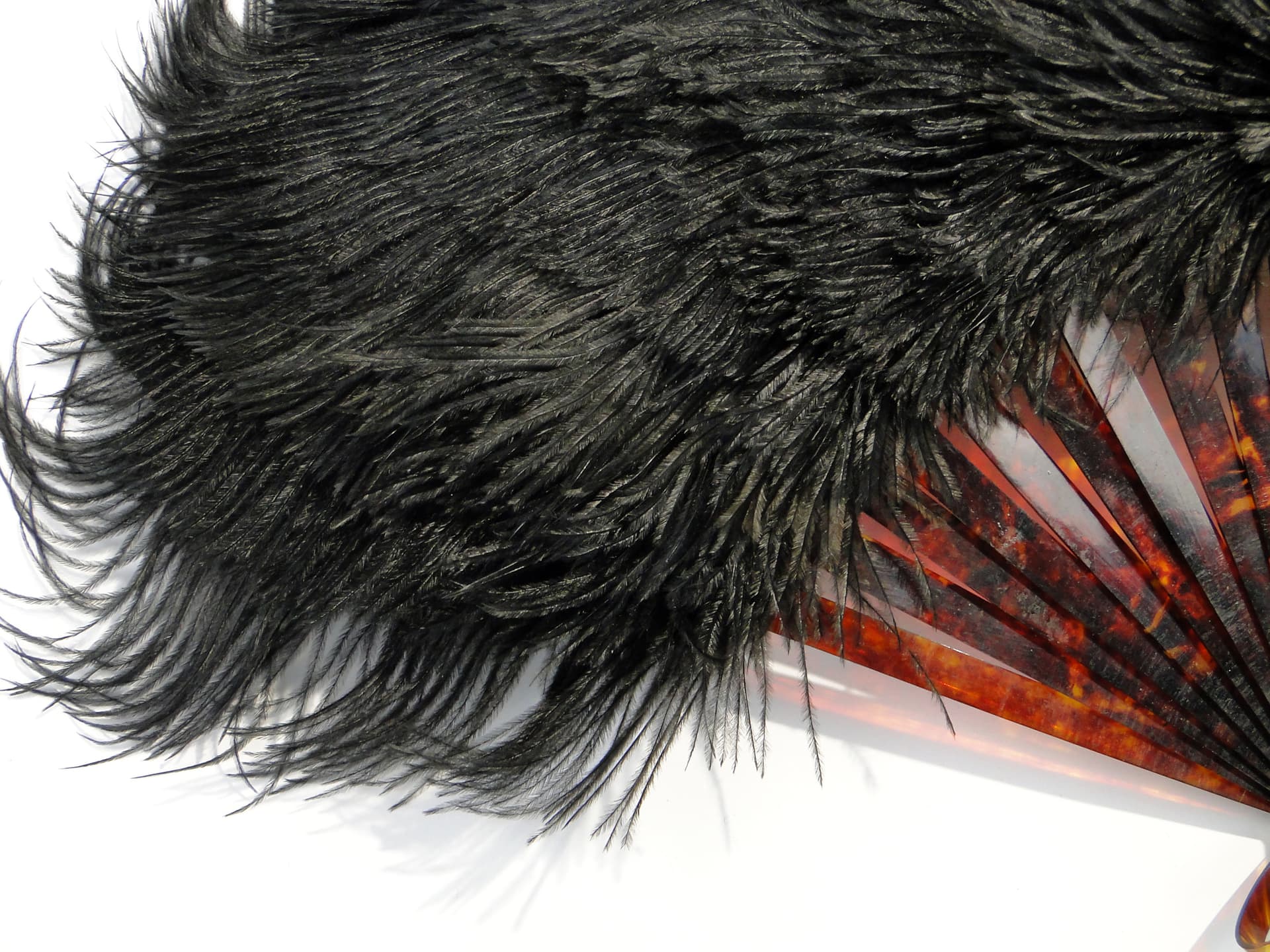 Ladies' Fan, black ostrich feathers, faux tortoiseshell, Austria, 19th c. - 7902