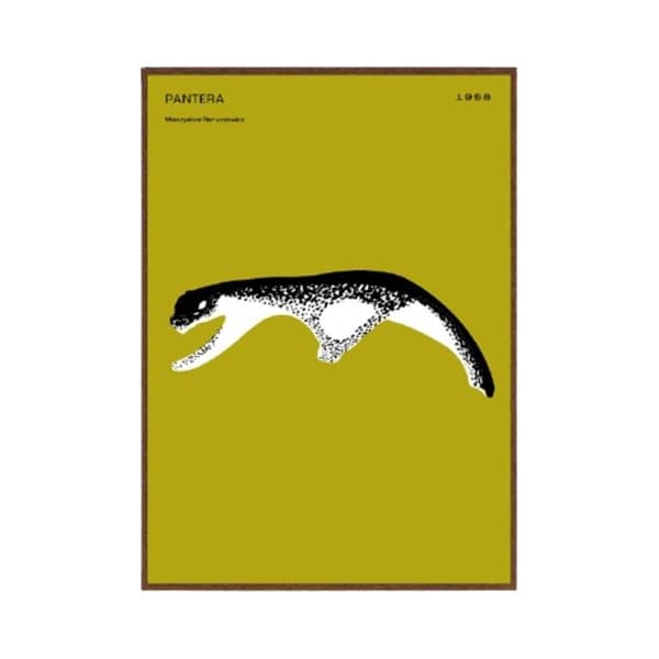 Poster Pantera / kolorowa 50x70 cm, by K. Jasińska, GRA-FIKA - 124412