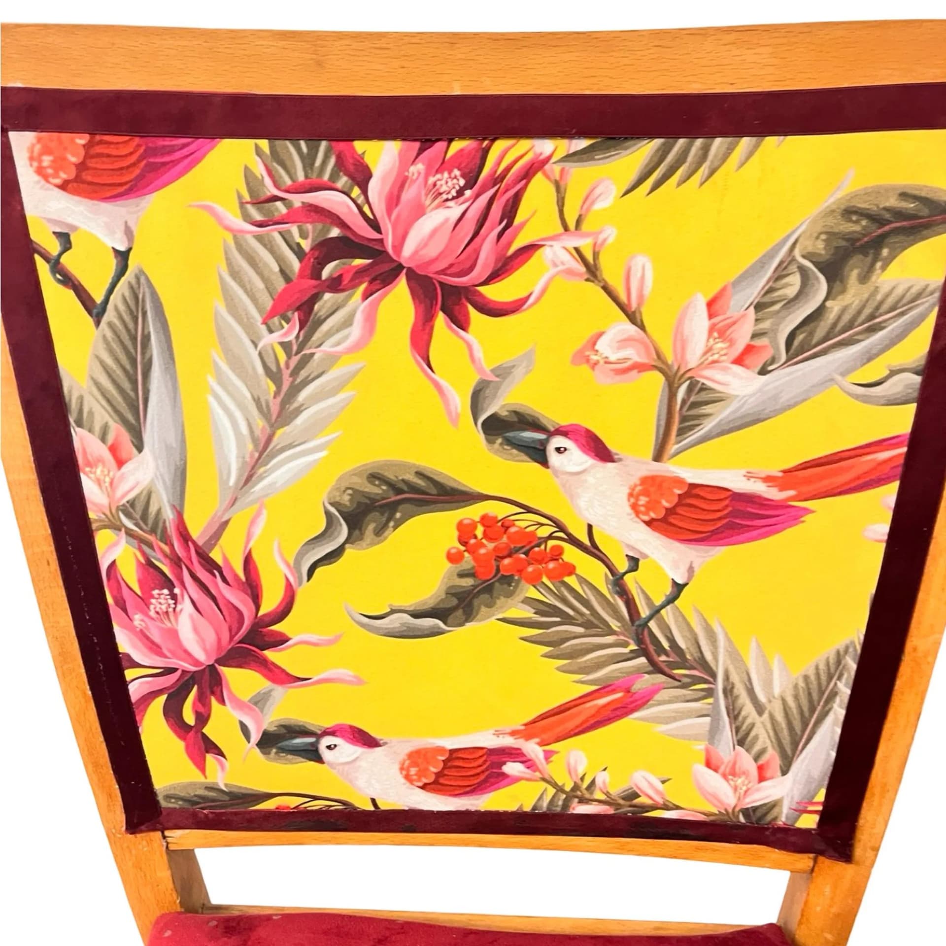 Krzesło, burgund velvet, buk miodowy, Polska, lata 50. - 126783