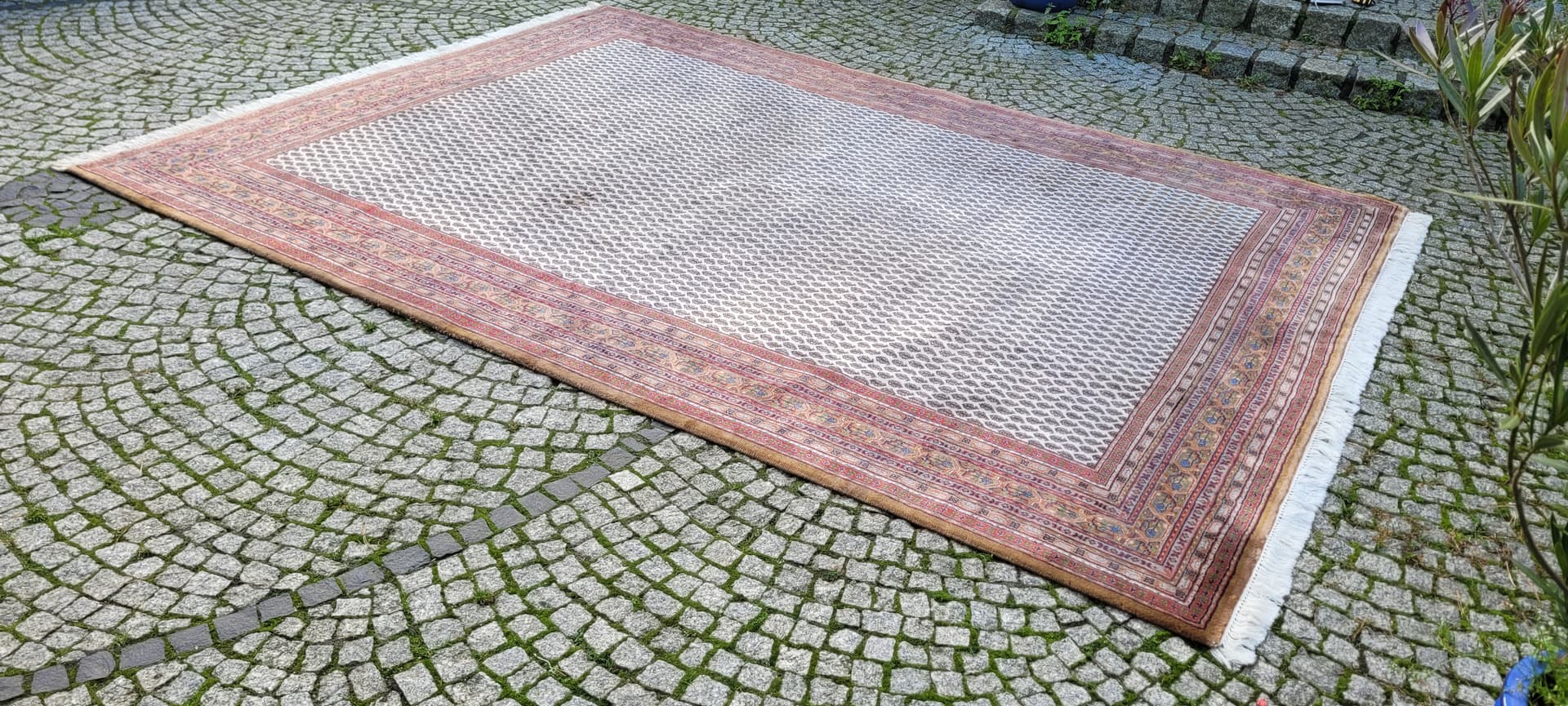 Rug Indo Sarough Mir 247x355 cm, beige wool, India - 130122