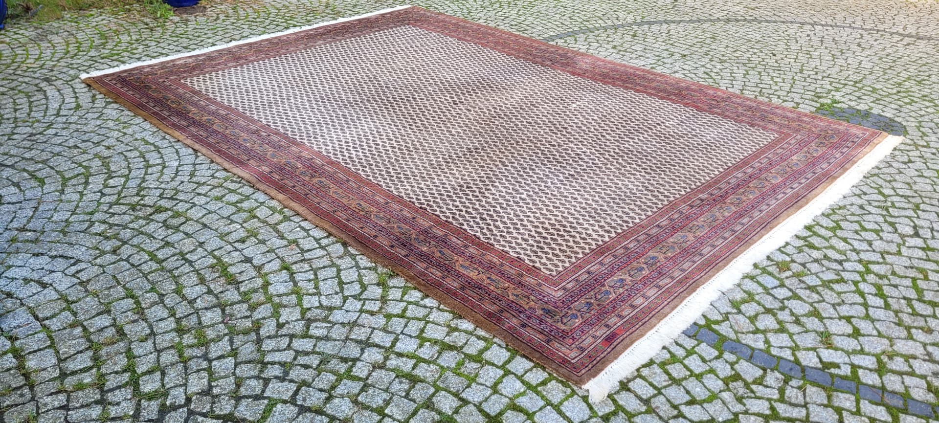 Rug Indo Sarough Mir 247x355 cm, beige wool, India - 130128