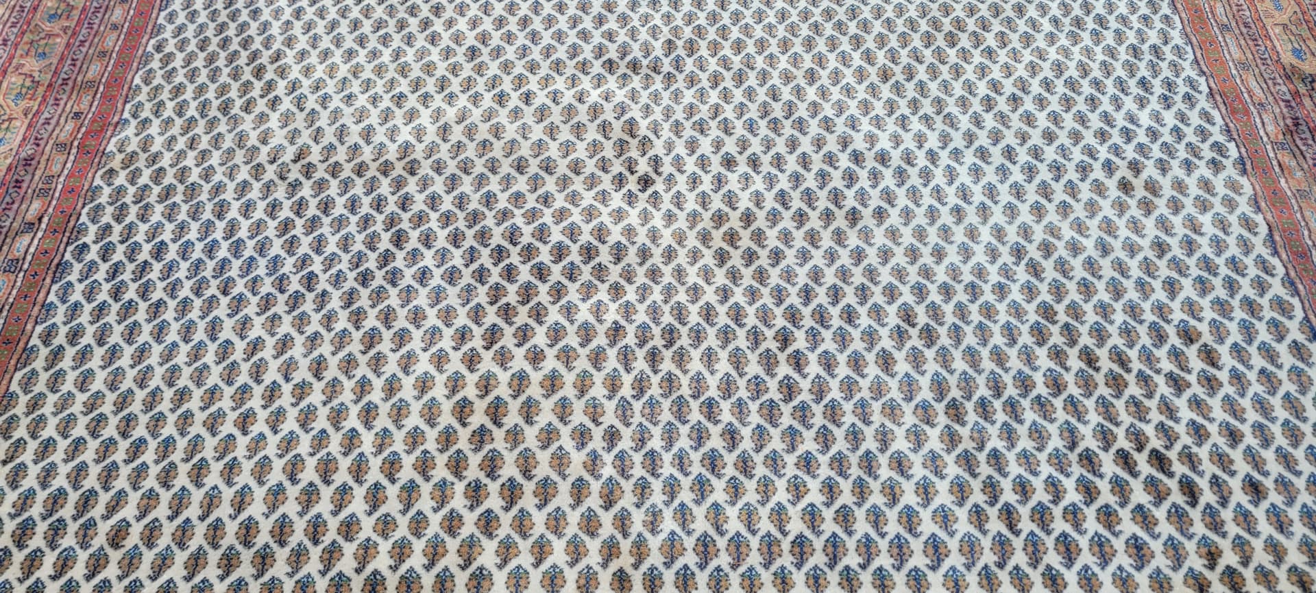 Rug Indo Sarough Mir 247x355 cm, beige wool, India - 130117