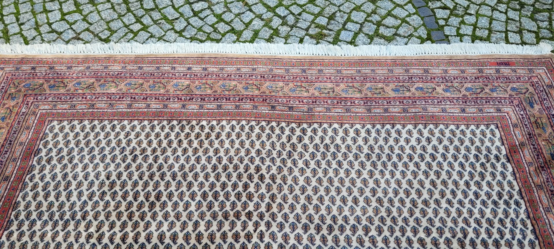 Rug Indo Sarough Mir 247x355 cm, beige wool, India - 130125