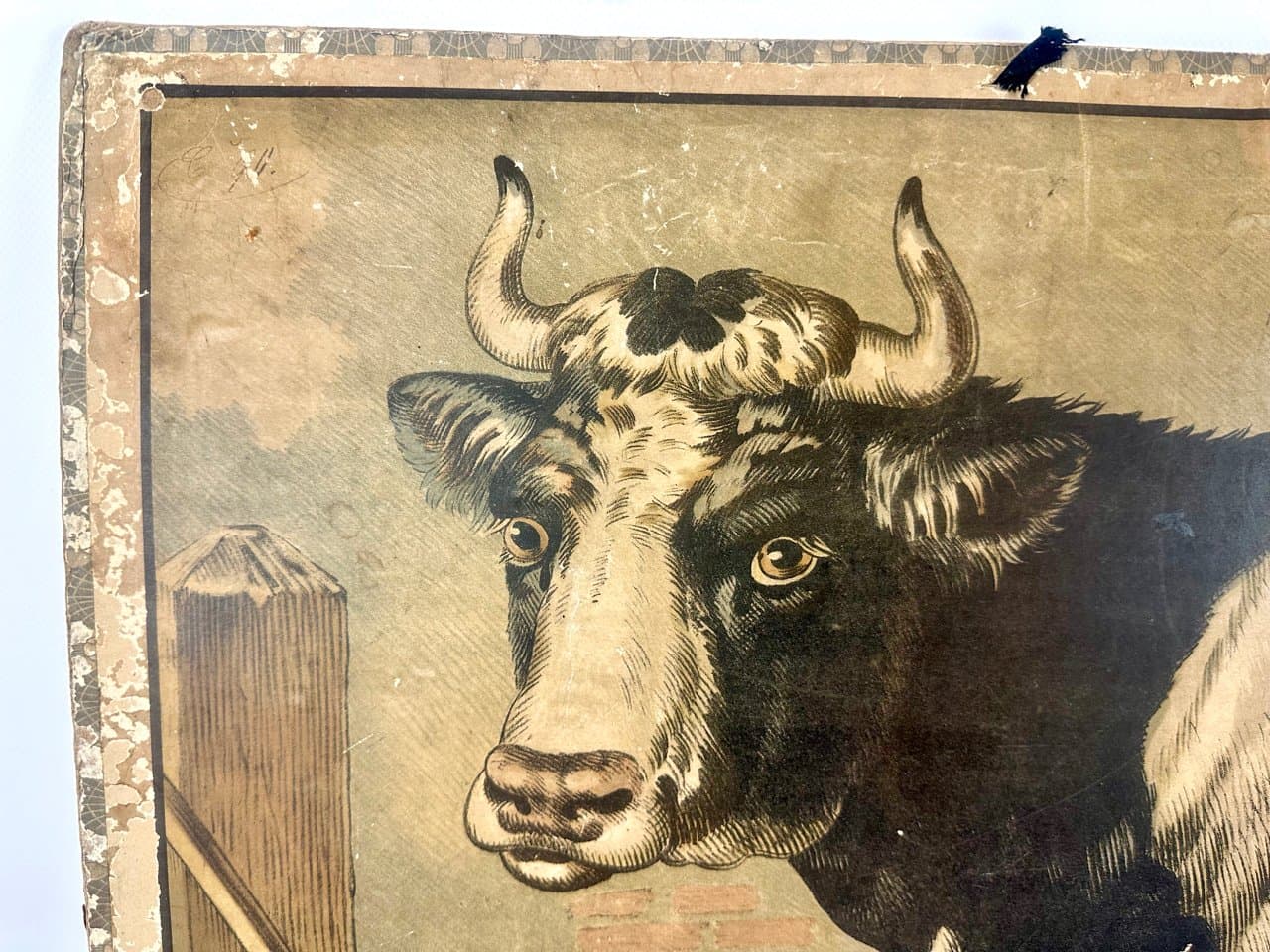 Tablica szkolna edukacyjna, multikolor, papier, Czechy, początek XX w. - 150892