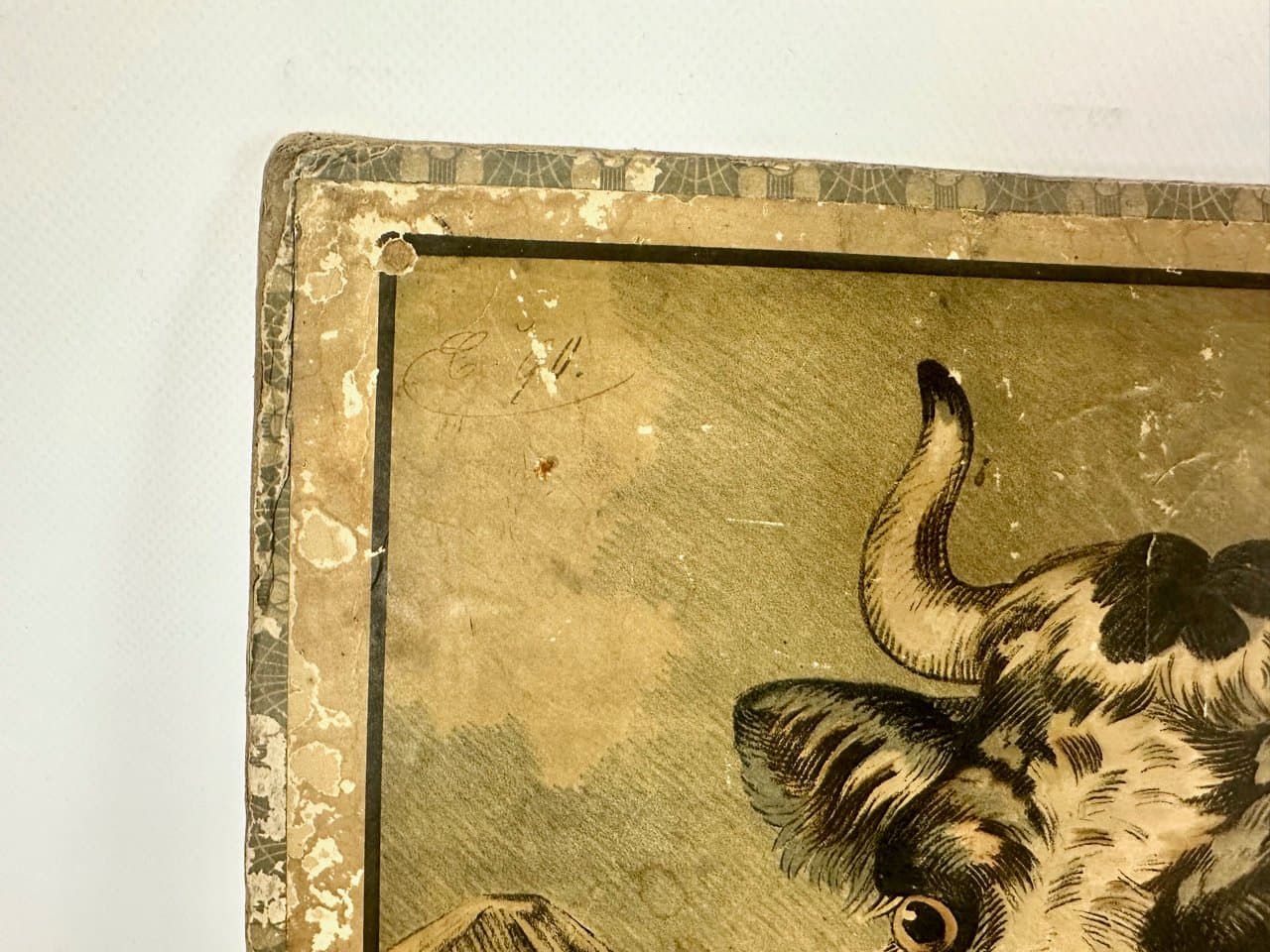 Tablica szkolna edukacyjna, multikolor, papier, Czechy, początek XX w. - 150891