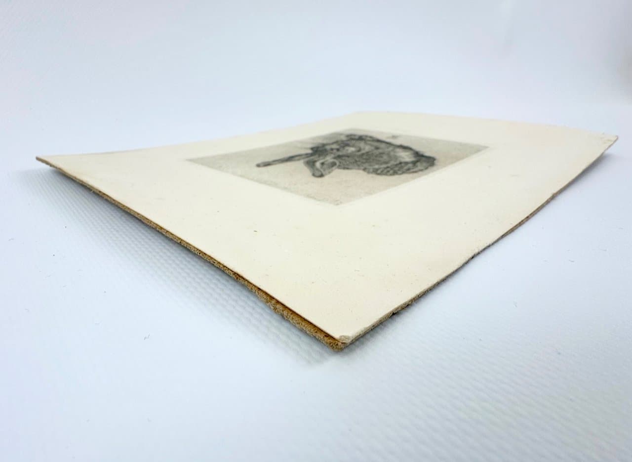 Print Young Hare, after A. Dürer, black, Germany, 19th c. - 151390