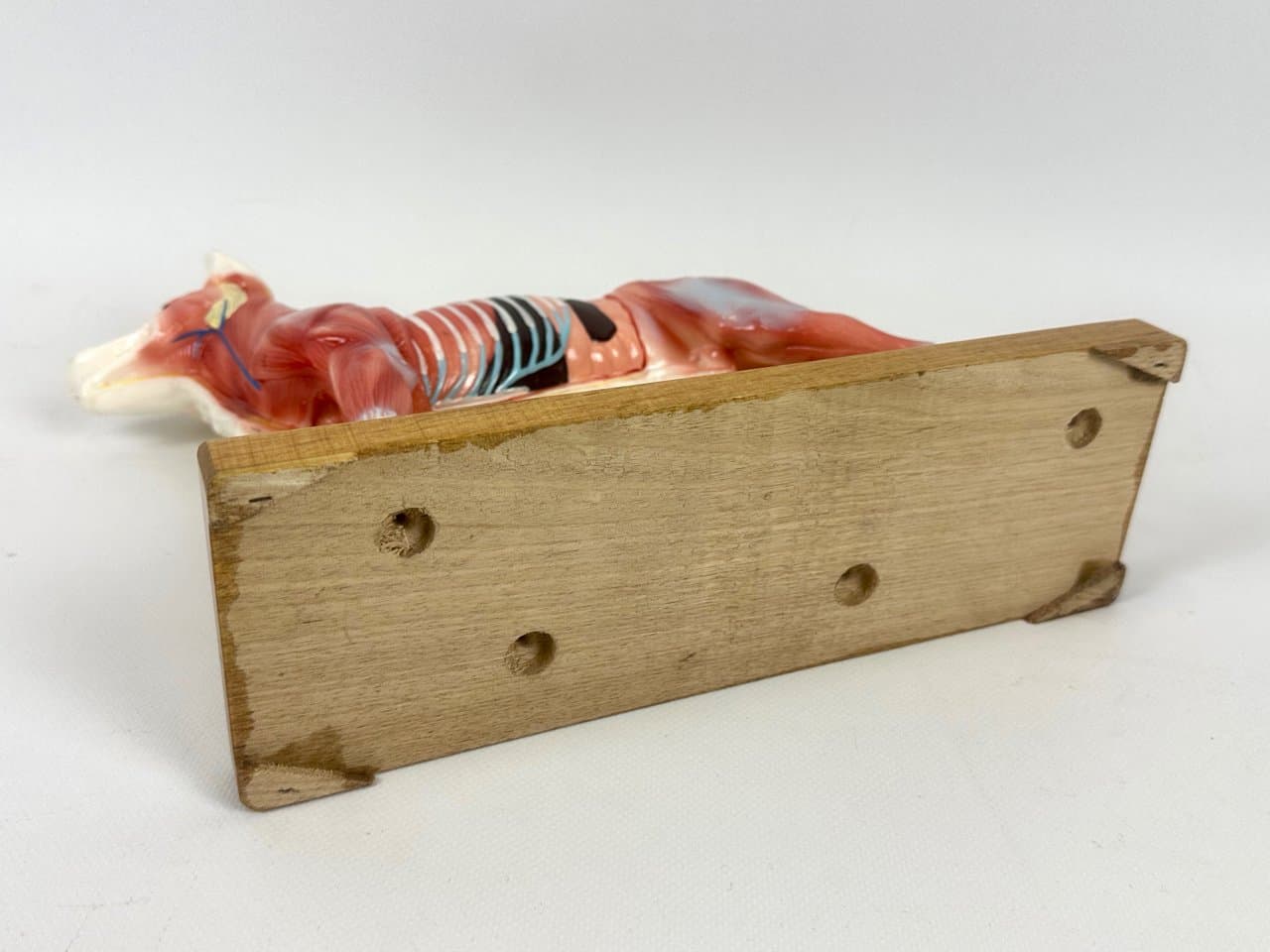 Didactic Dog Figurine, multicolor vinyl, 1960s - 151546