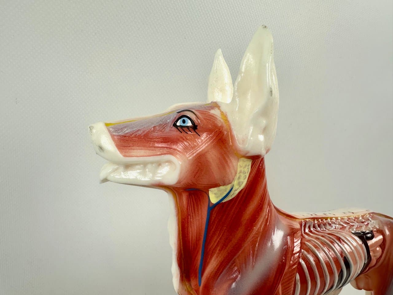 Didactic Dog Figurine, multicolor vinyl, 1960s - 151540