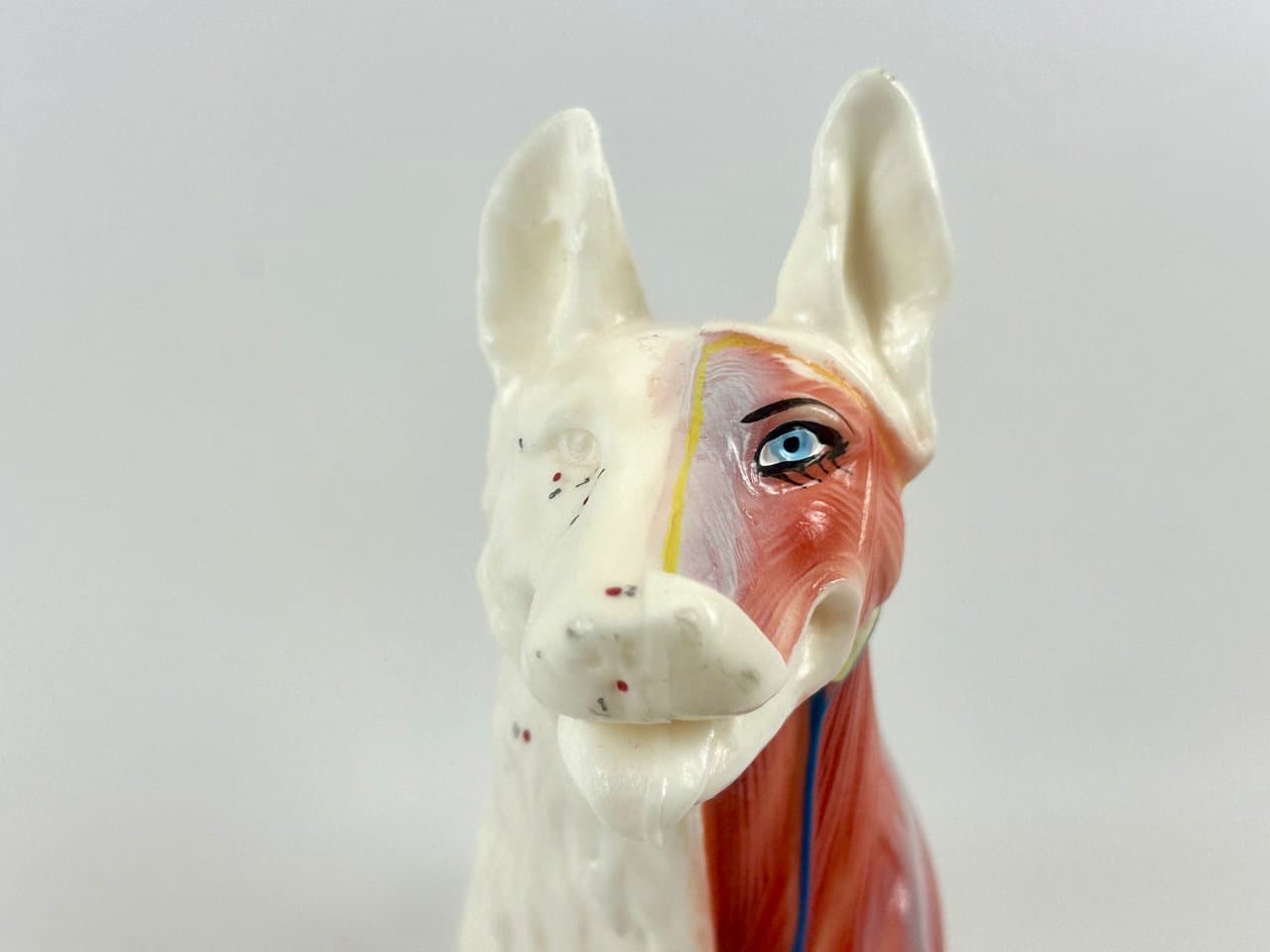 Didactic Dog Figurine, multicolor vinyl, 1960s - 151543