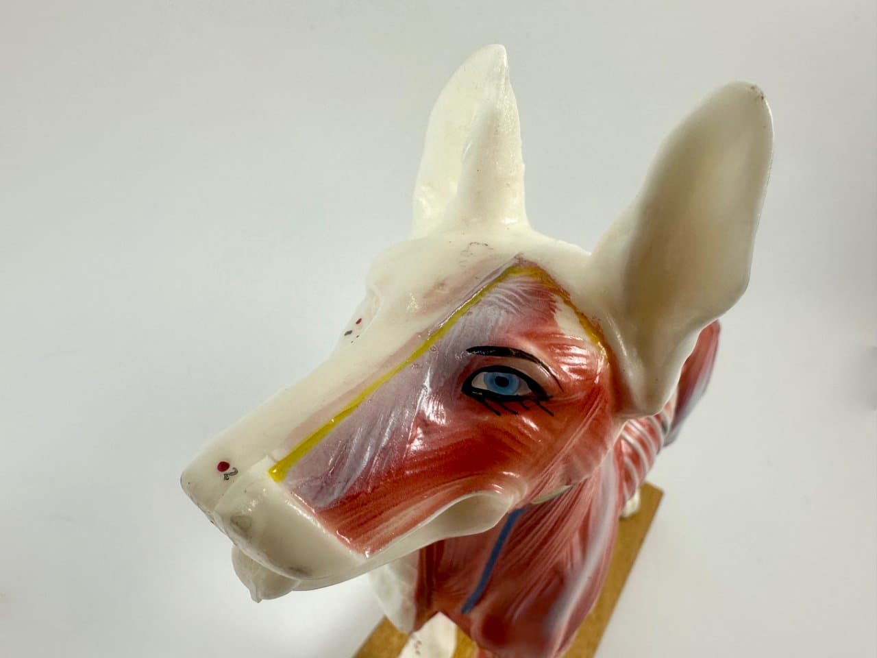 Didactic Dog Figurine, multicolor vinyl, 1960s - 151547