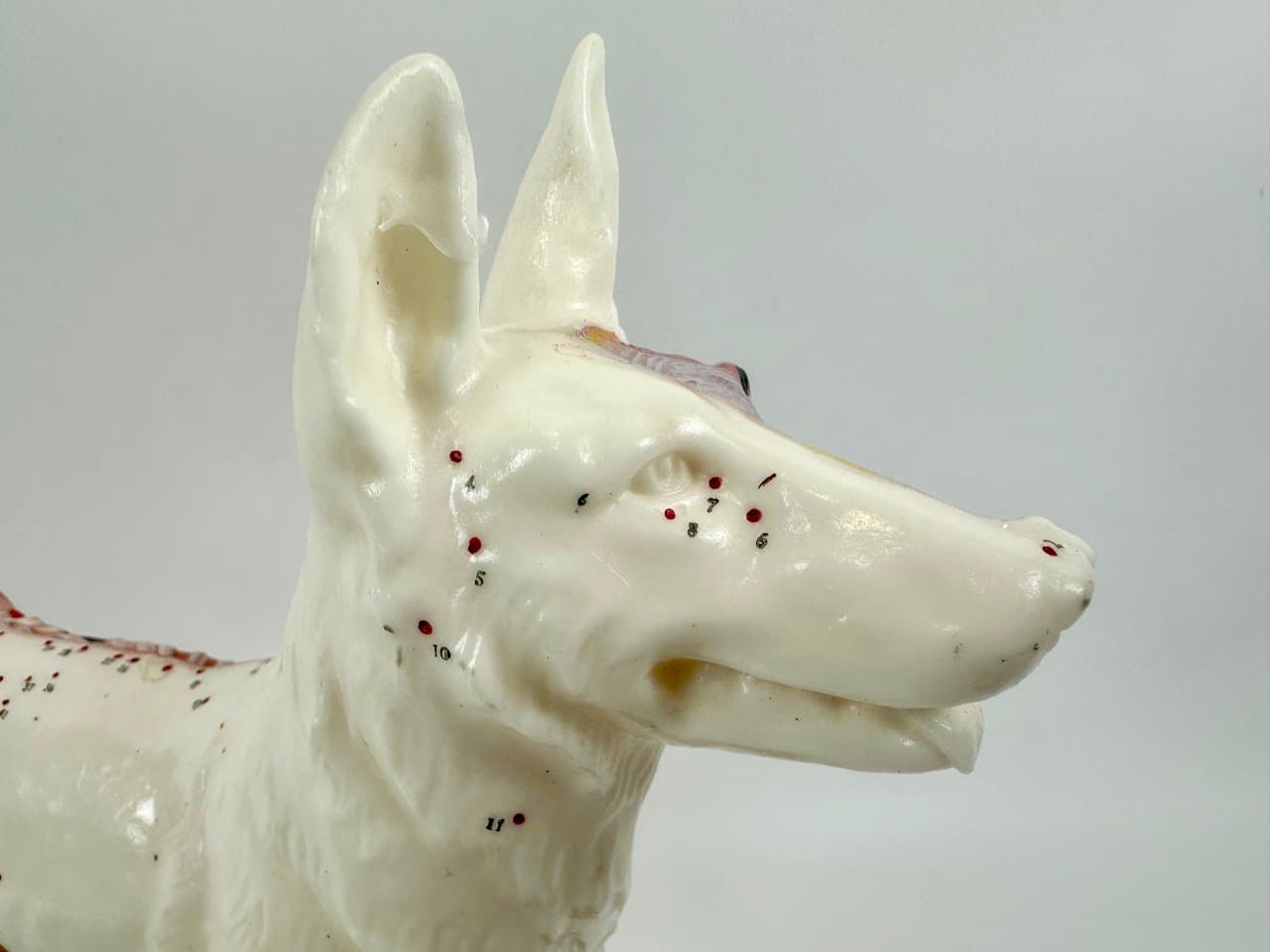 Didactic Dog Figurine, multicolor vinyl, 1960s - 151545