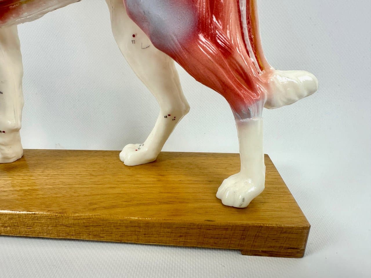 Didactic Dog Figurine, multicolor vinyl, 1960s - 151550