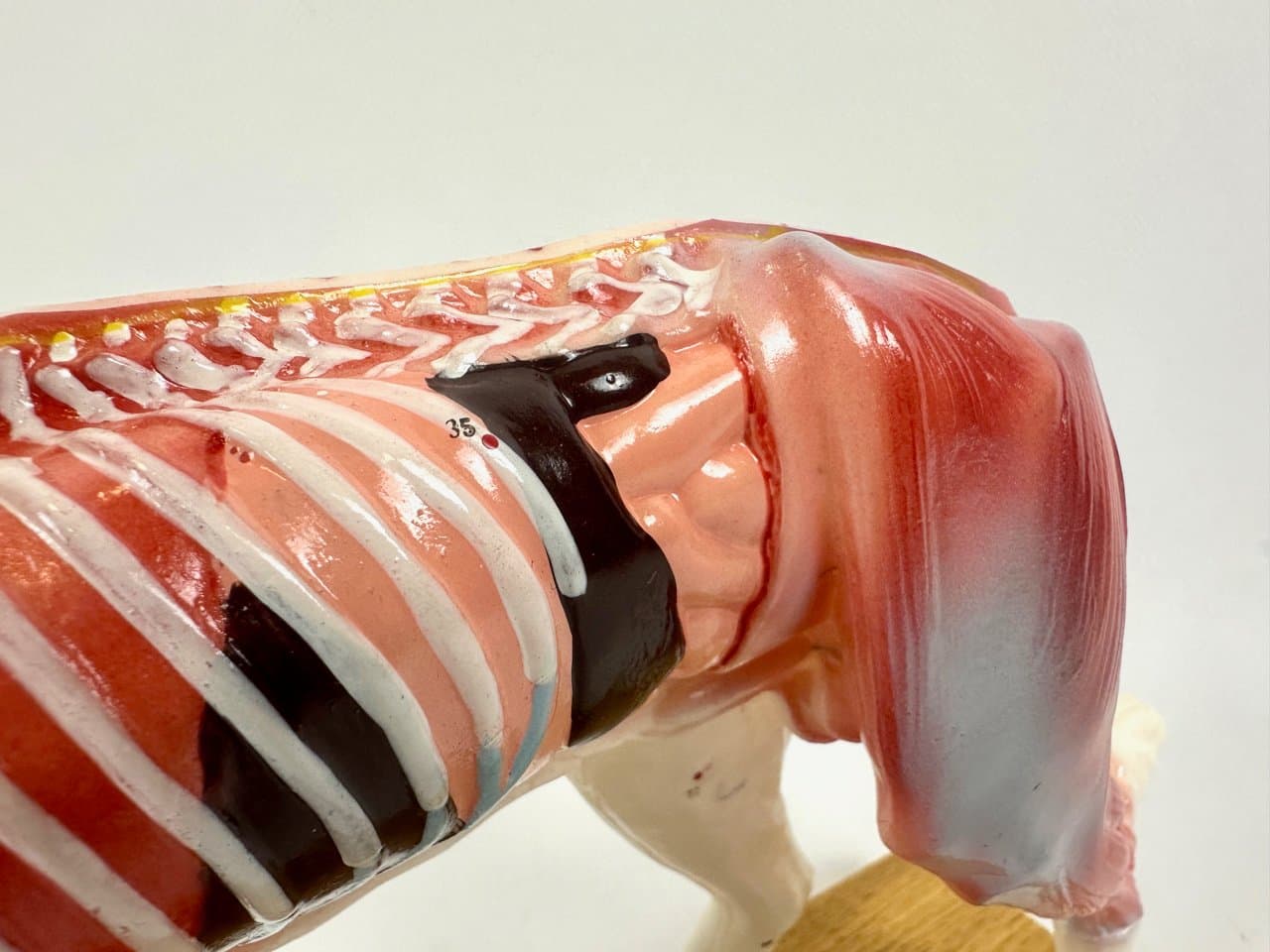 Didactic Dog Figurine, multicolor vinyl, 1960s - 151539