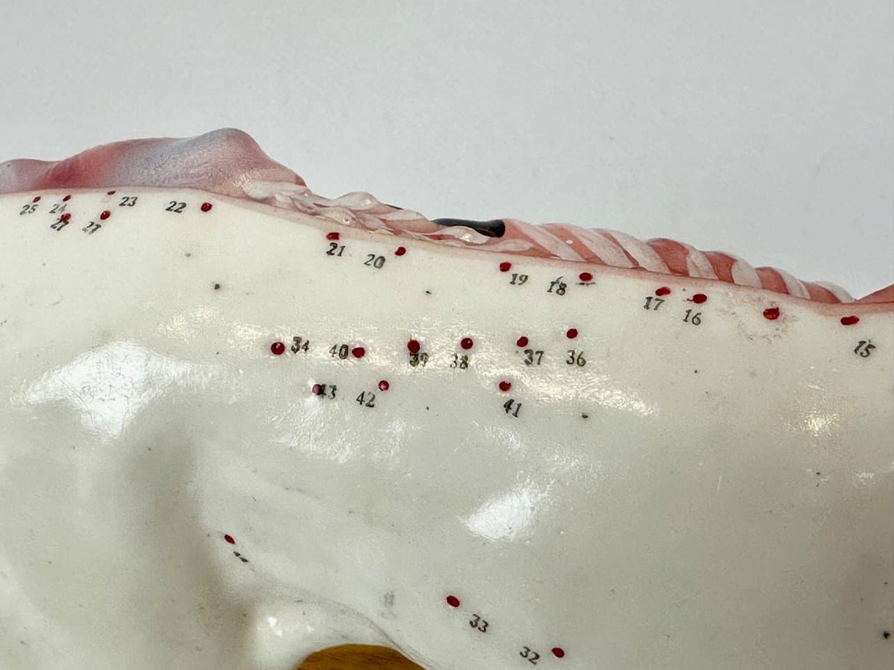 Didactic Dog Figurine, multicolor vinyl, 1960s - 151549