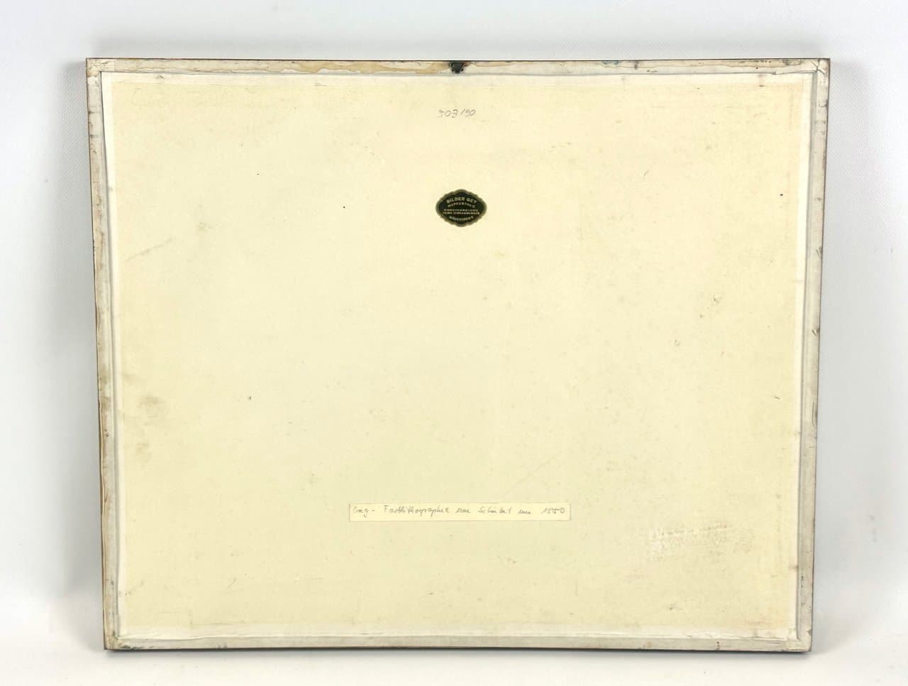 Grafika Turtles 55x45 cm, wielokolorowa, miedzioryt, aut. G.H. von Schubert, Niemcy, XIX w. - 151943