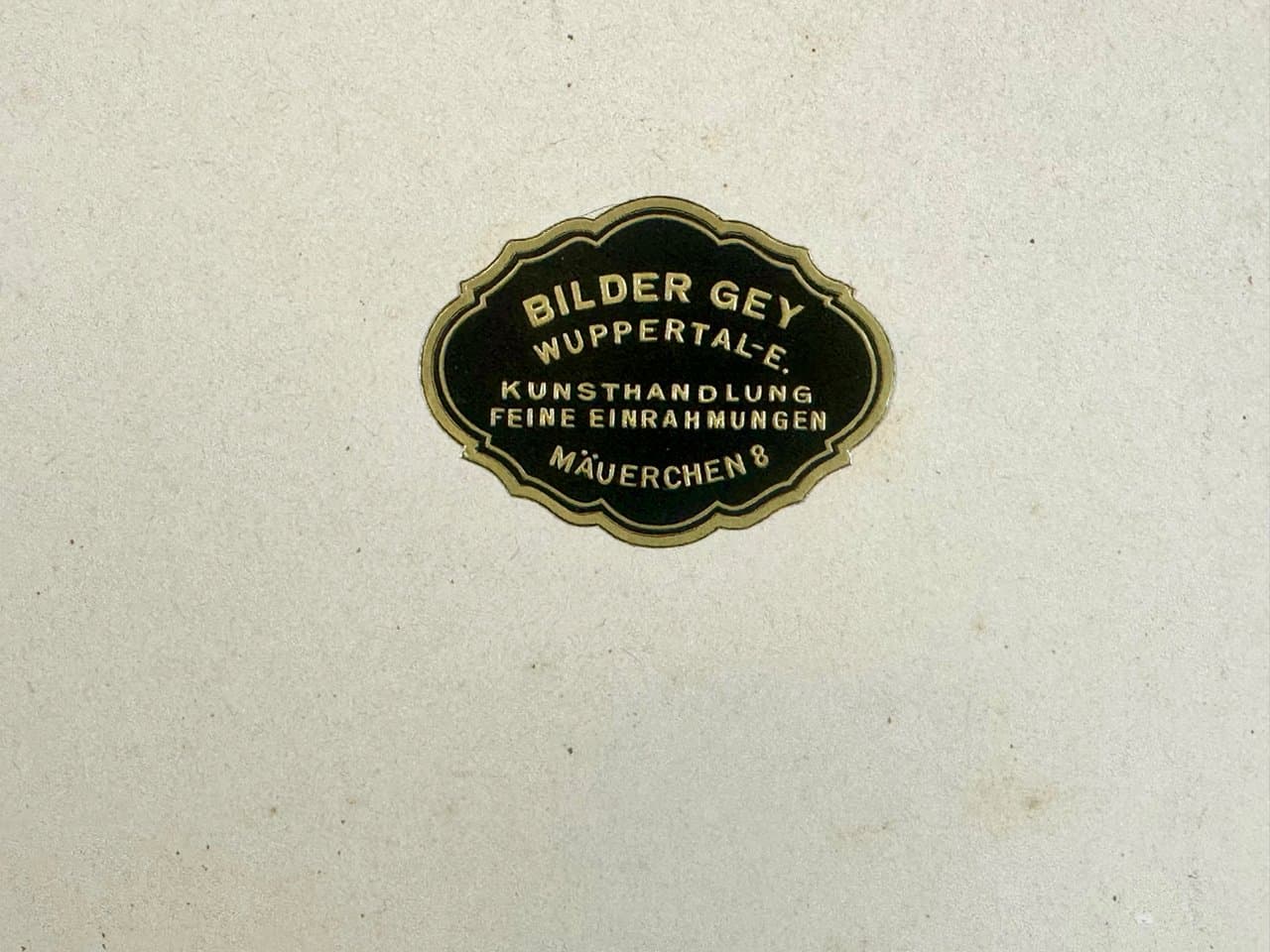 Grafika Turtles 55x45 cm, wielokolorowa, miedzioryt, aut. G.H. von Schubert, Niemcy, XIX w. - 151939