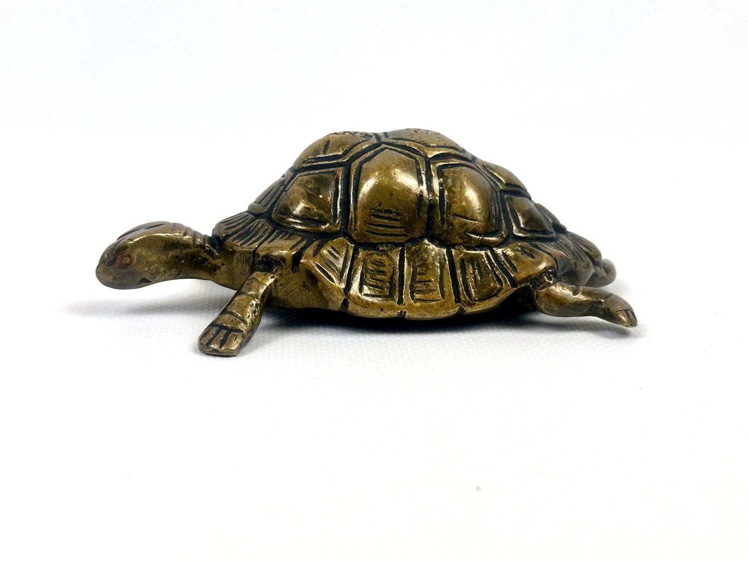 Turtle figurine, golden brass, Belgium, 1960s - 154534