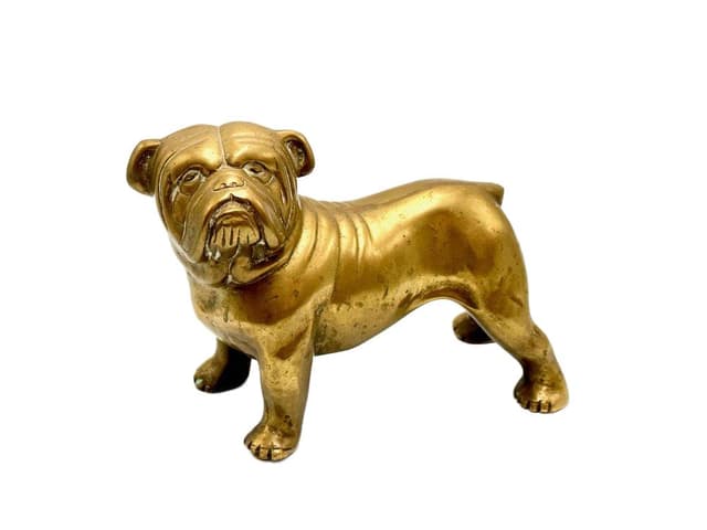 Bulldog figurine, golden brass, France, 1940s. - DIMENSION