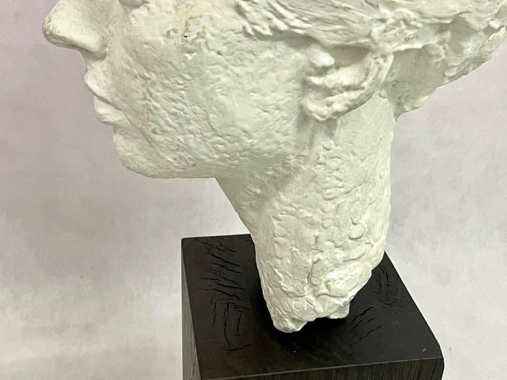 Komplet rzeźb Popiersie Pani M. S., brąz brązowy, gips biały, dąb czarny, art. J. Galica, Polska, lata 60. - 156813