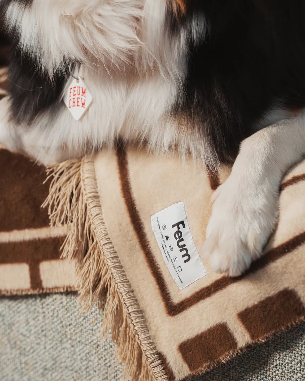 Koc Pawfect 200x150 cm beżowo-brązowy, Feum - 147592