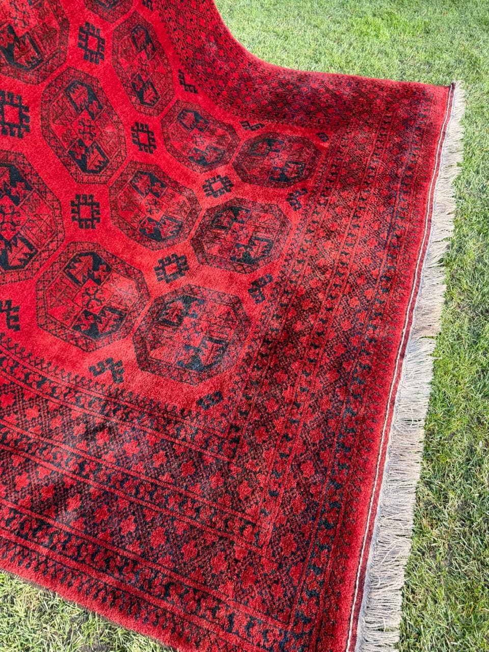 Dywan Afgan, 335x255 cm, wełna czerwona, Afganistan, początek XX w. - 157778