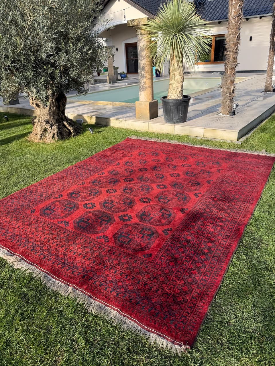 Dywan Afgan, 335x255 cm, wełna czerwona, Afganistan, początek XX w. - 157777