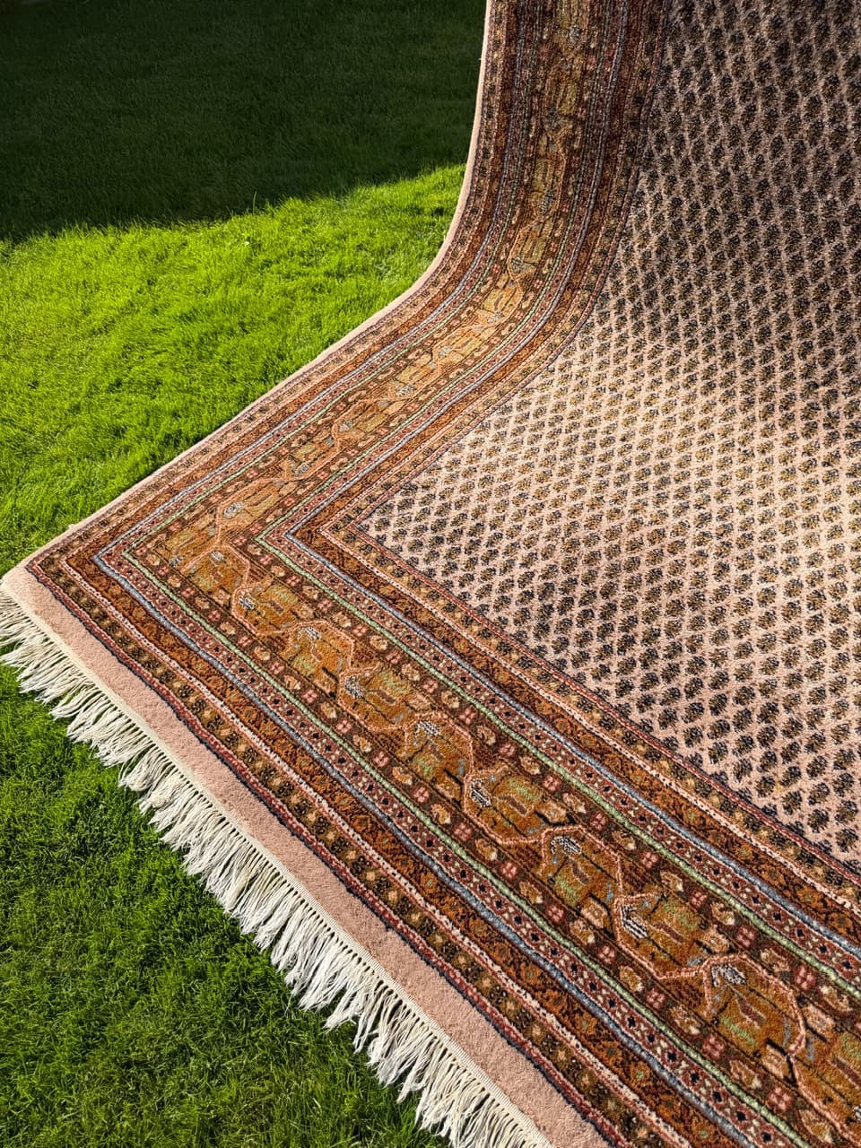 Dywan Indo Mir 365x255 cm, beżowy, wełna, Indie - 158858