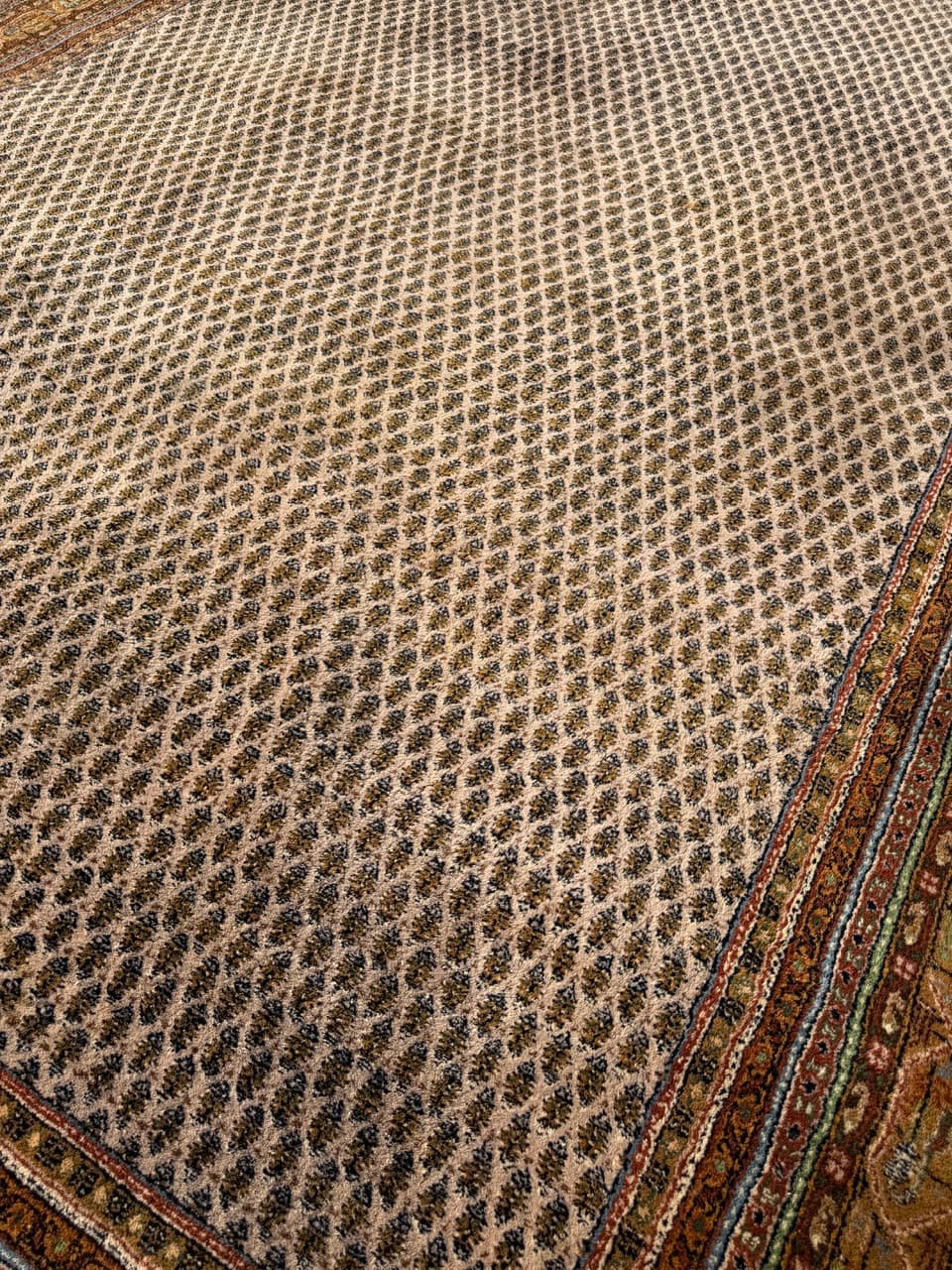 Dywan Indo Mir 365x255 cm, beżowy, wełna, Indie - 158855