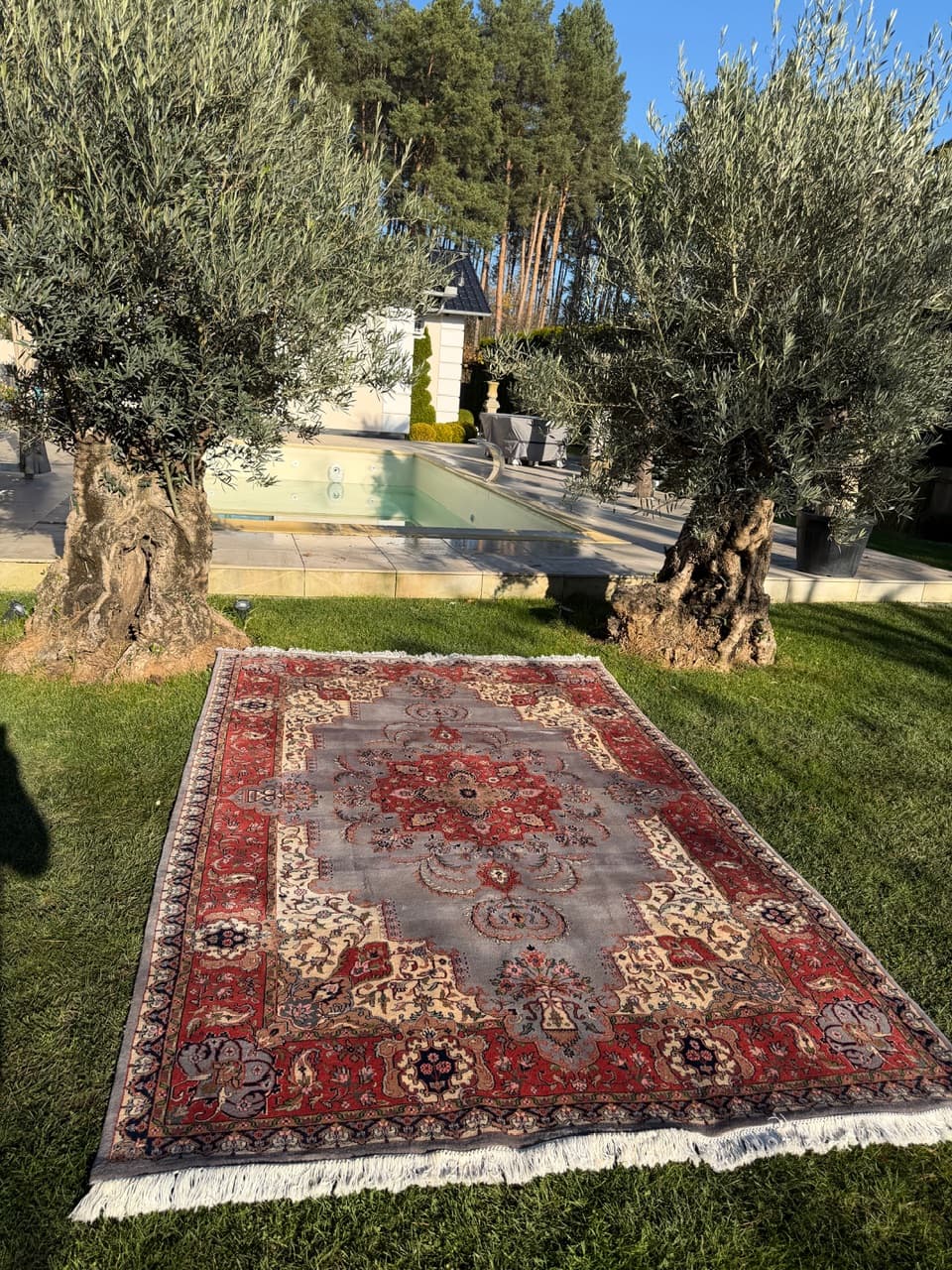 Dywan Indo Bidjar 300x200 cm, multikolor, wełna, Indie - 158911