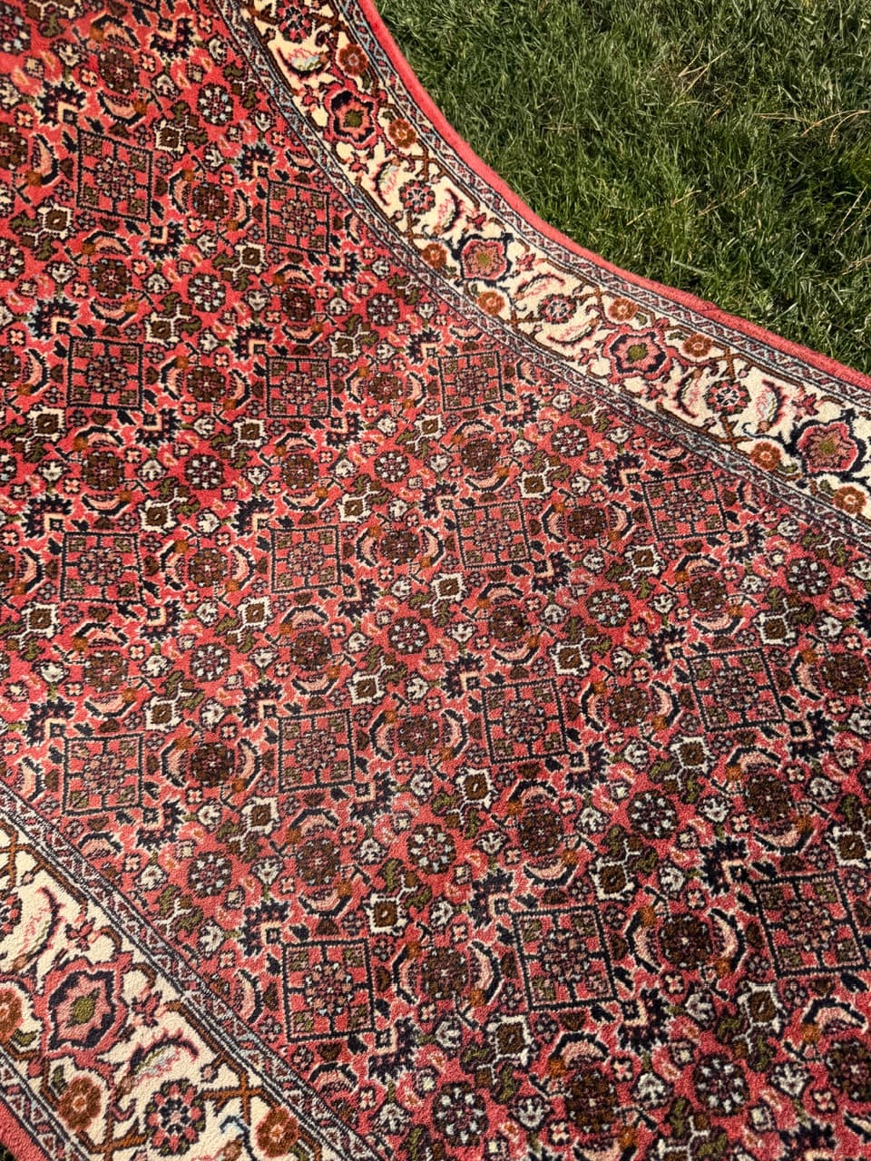 Runner Bidjar, red wool, Iran - 160145