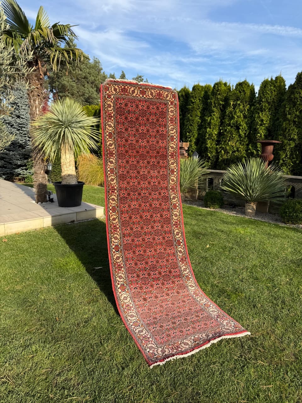 Runner Bidjar, red wool, Iran - 160136