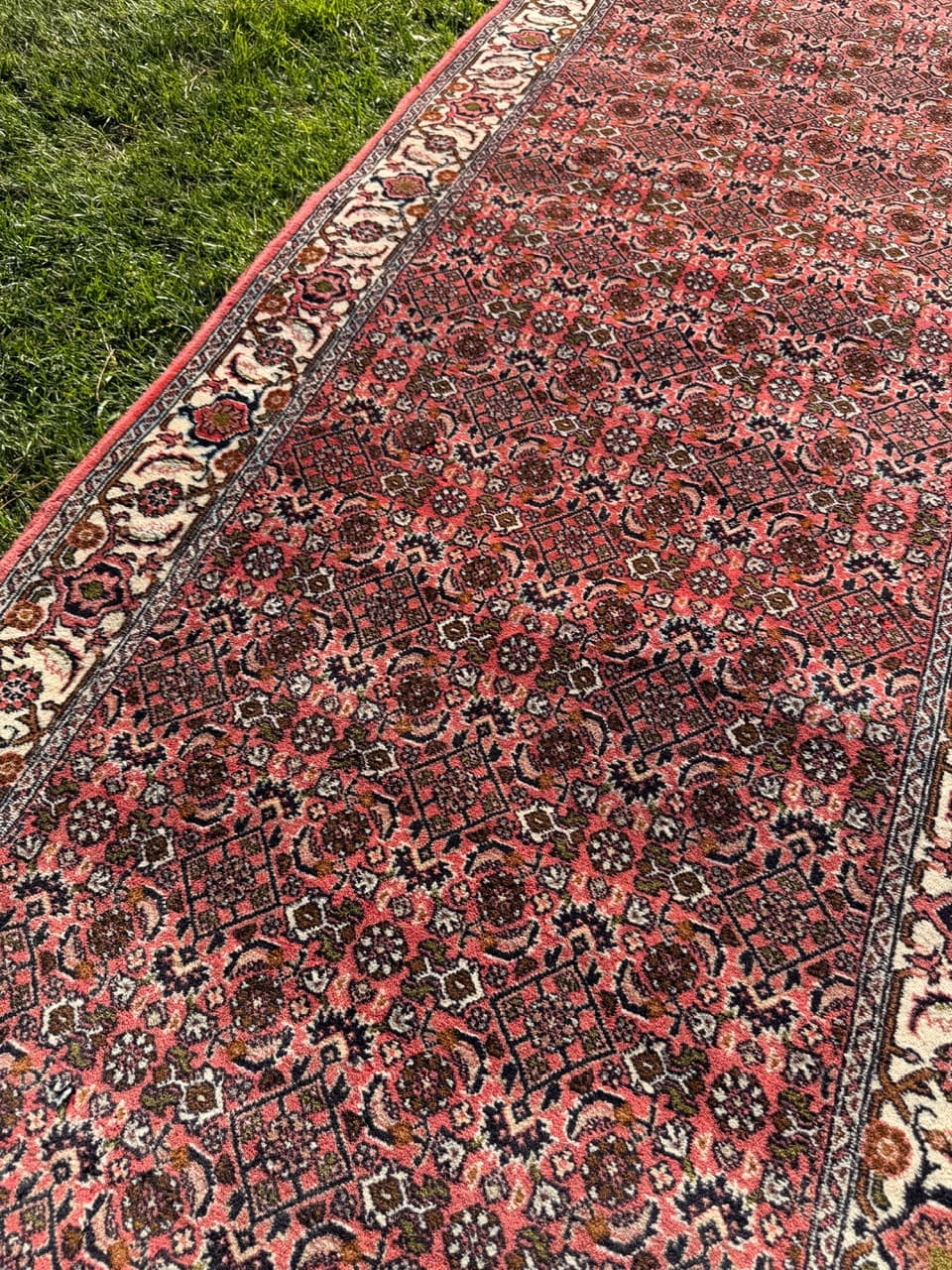 Runner Bidjar, red wool, Iran - 160149