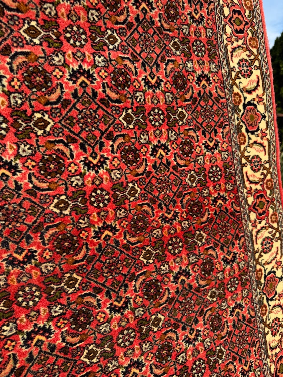 Runner Bidjar, red wool, Iran - 160139