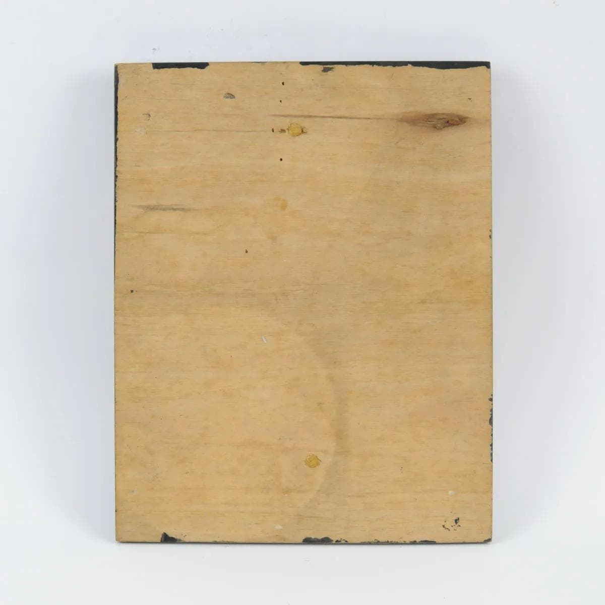 Model anatomiczny przekroju głowy, multikolor, gips malowany, drewno, Czechosłowacja, lata 50. - 161995