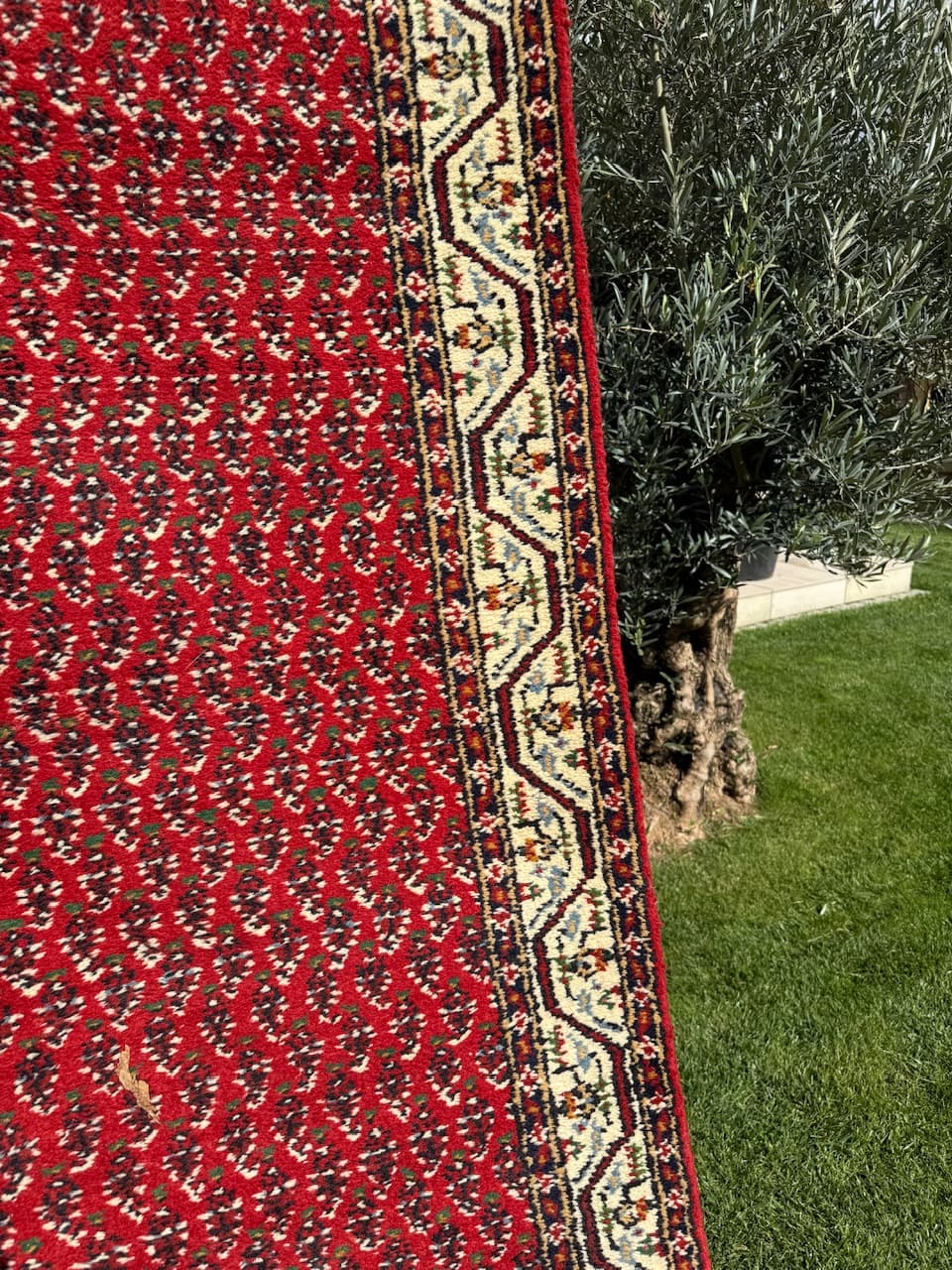 Runner Indo Mir, red wool, India - 167051