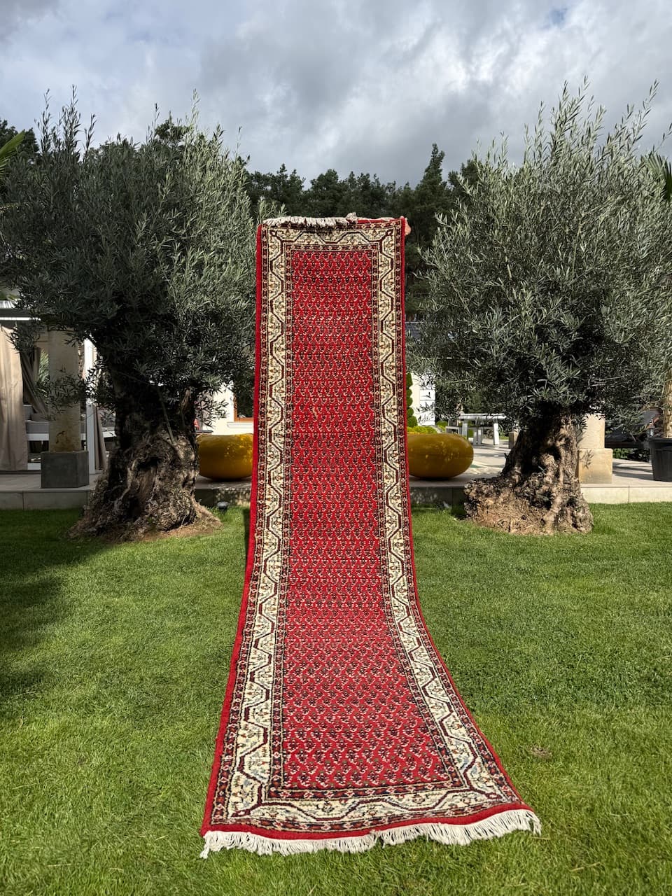 Runner Indo Mir, red wool, India - 167044